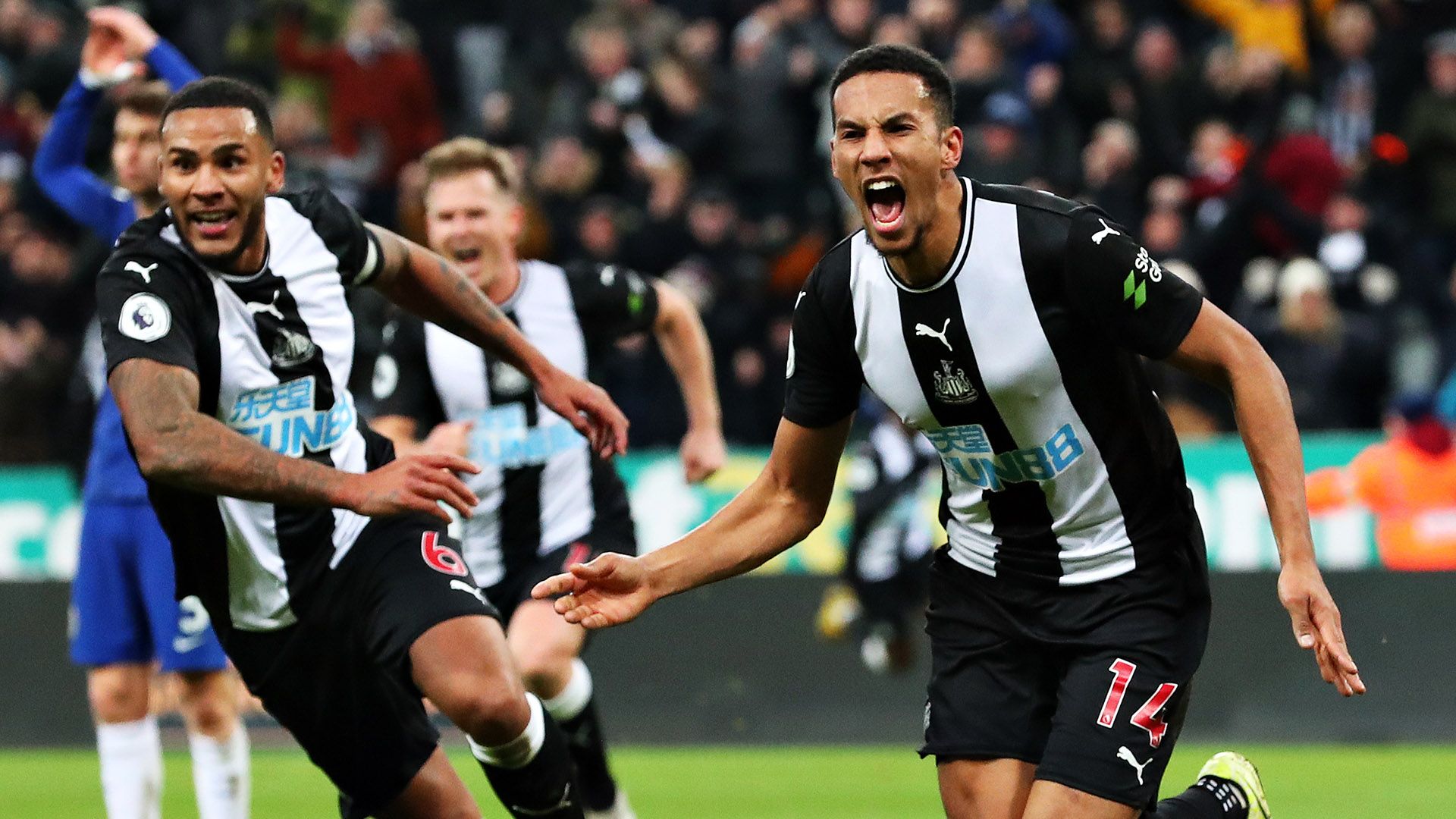 Isaac Hayden Newcastle