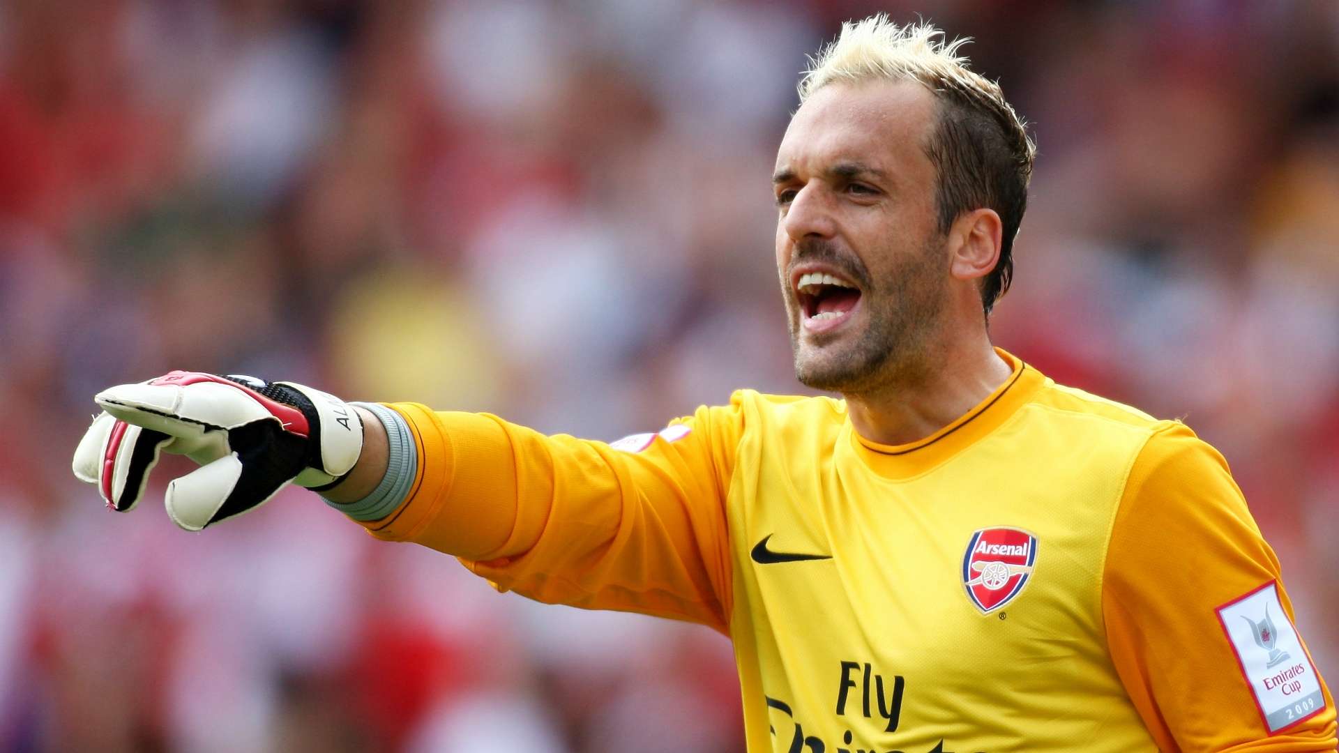 Manuel Almunia, Arsenal