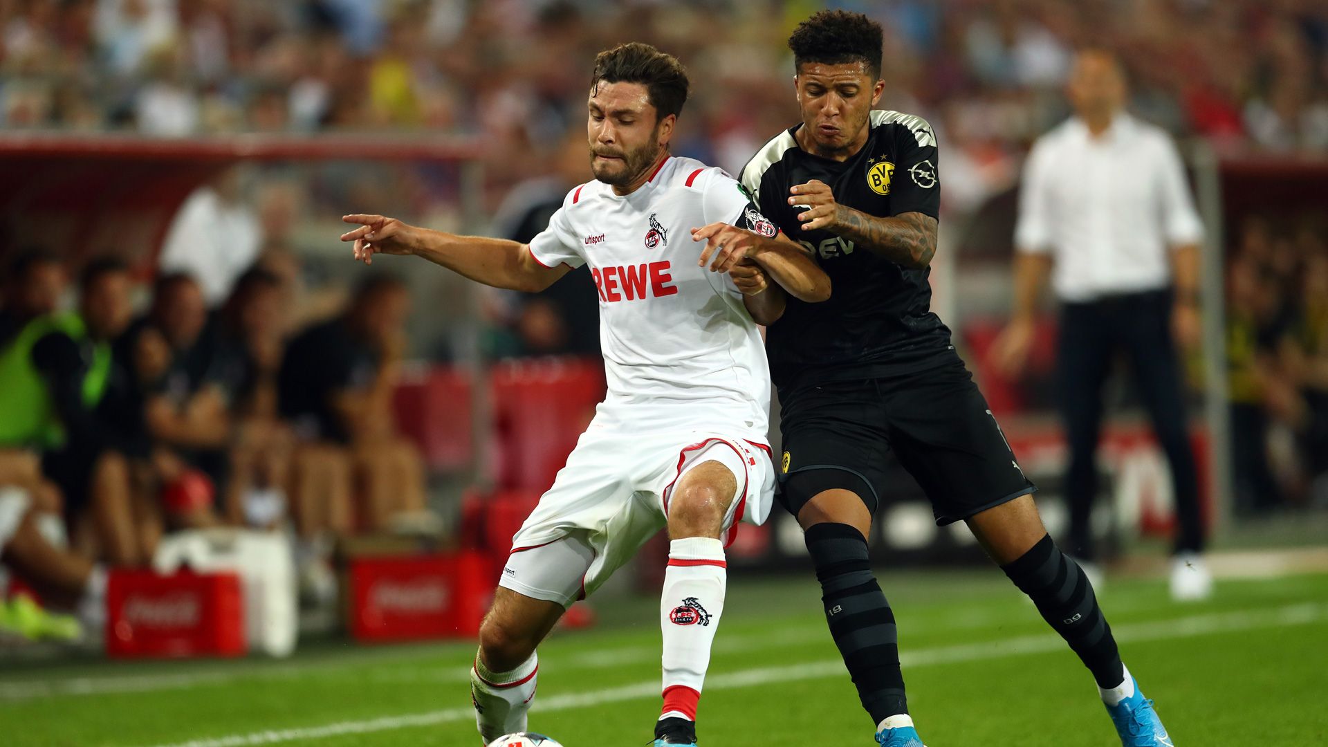 Borussia Dortmund BVB Köln Sancho