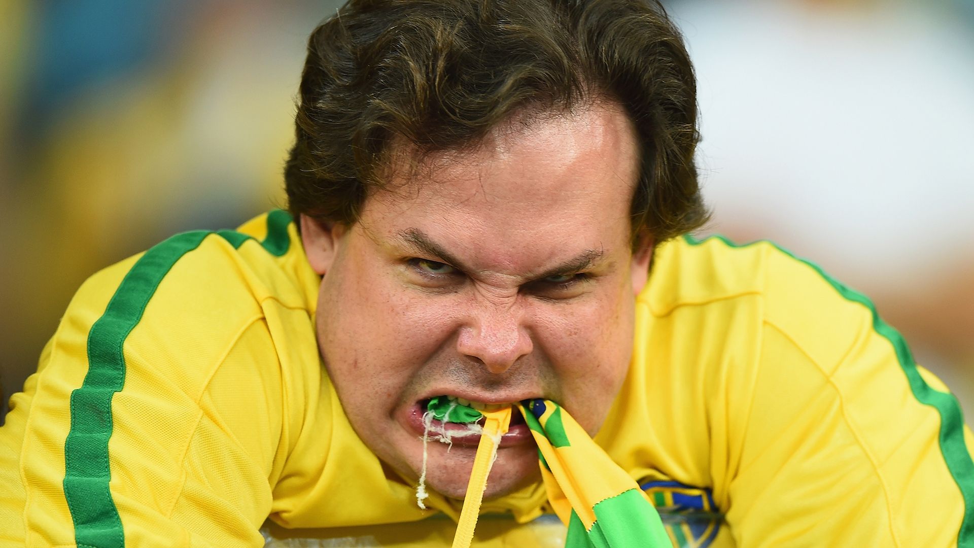 Fan Brazil Germany 2014 World Cup