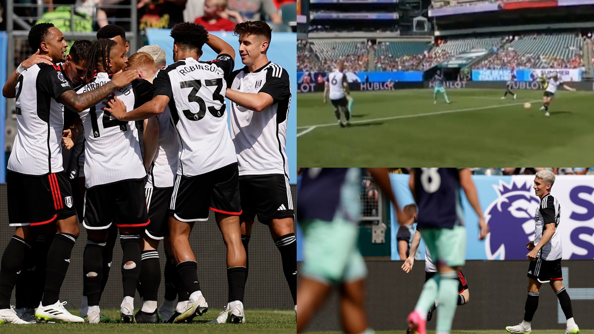 Fulham Harry Wilson ref cam