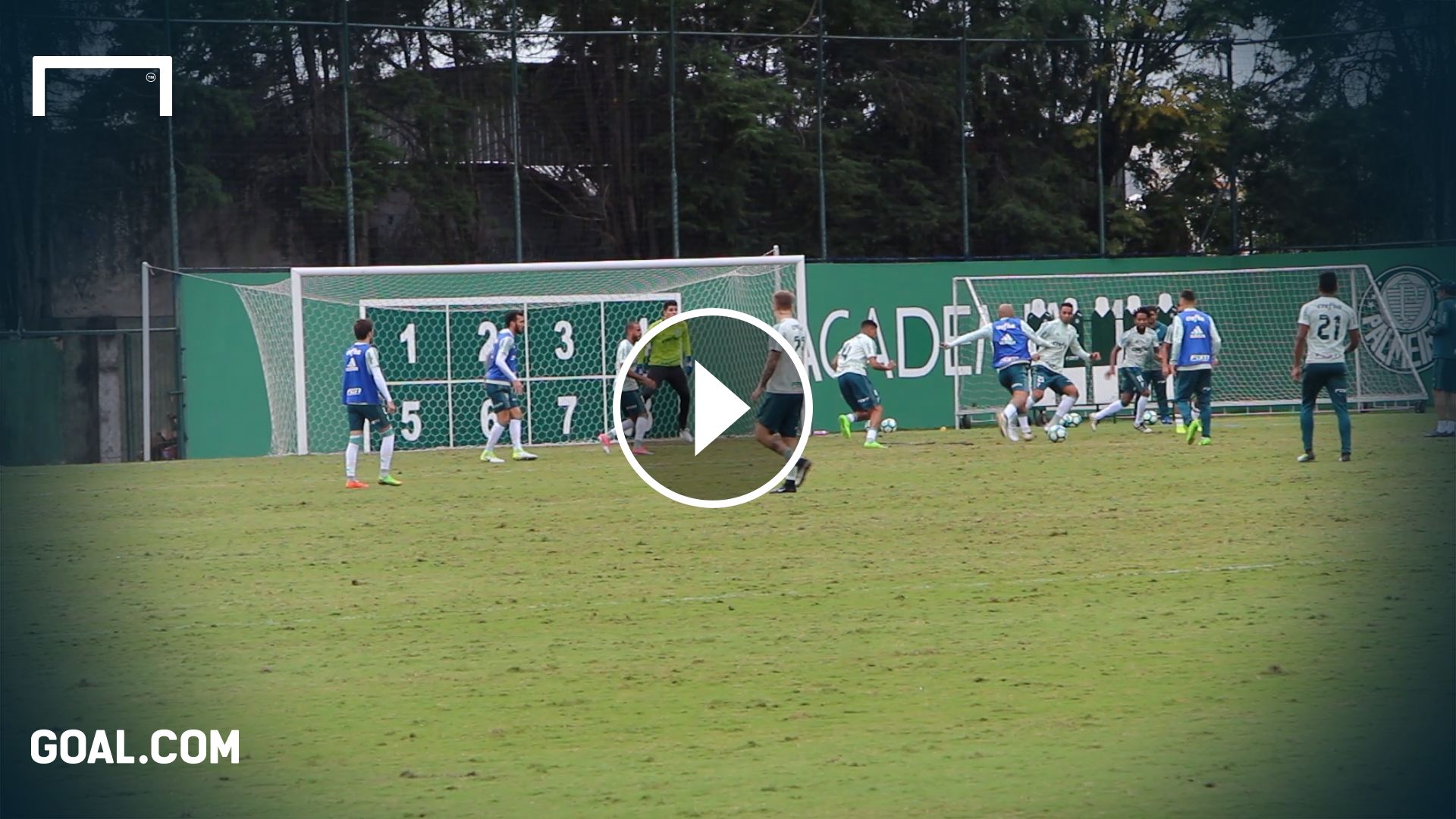treino_palmeiras_maio