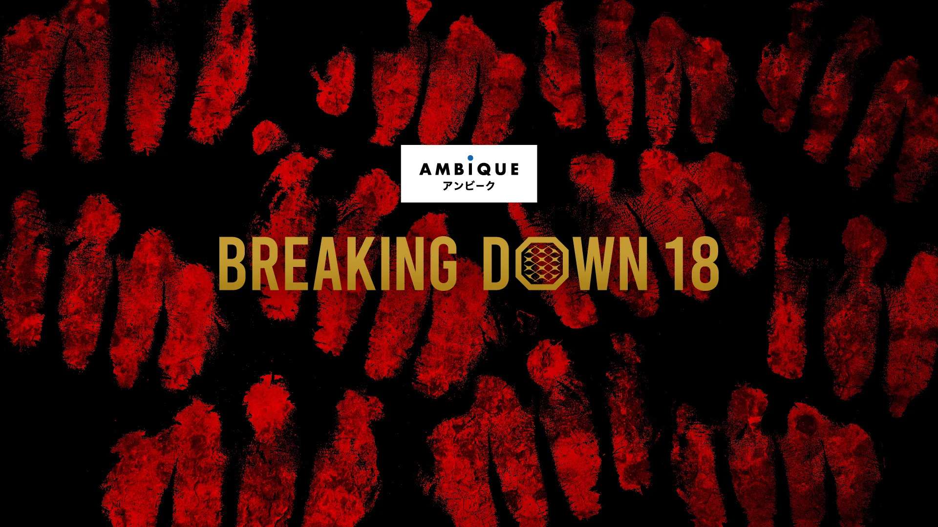 BreakingDown 18