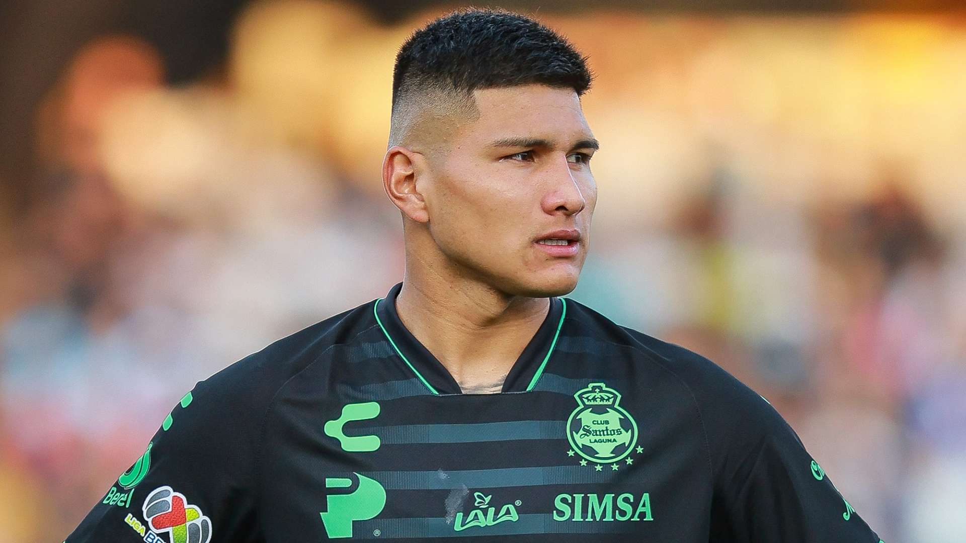 Santos Laguna Overview santos-laguna-overview