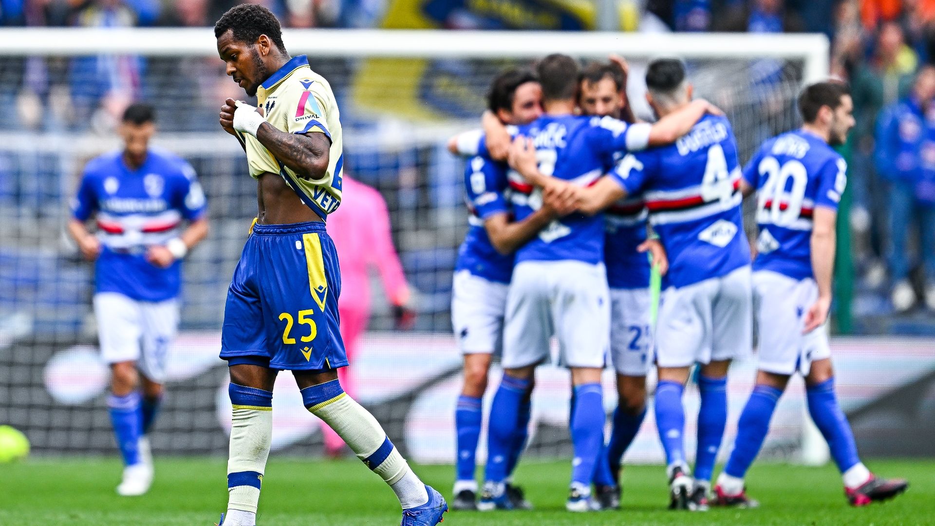 Sampdoria Verona