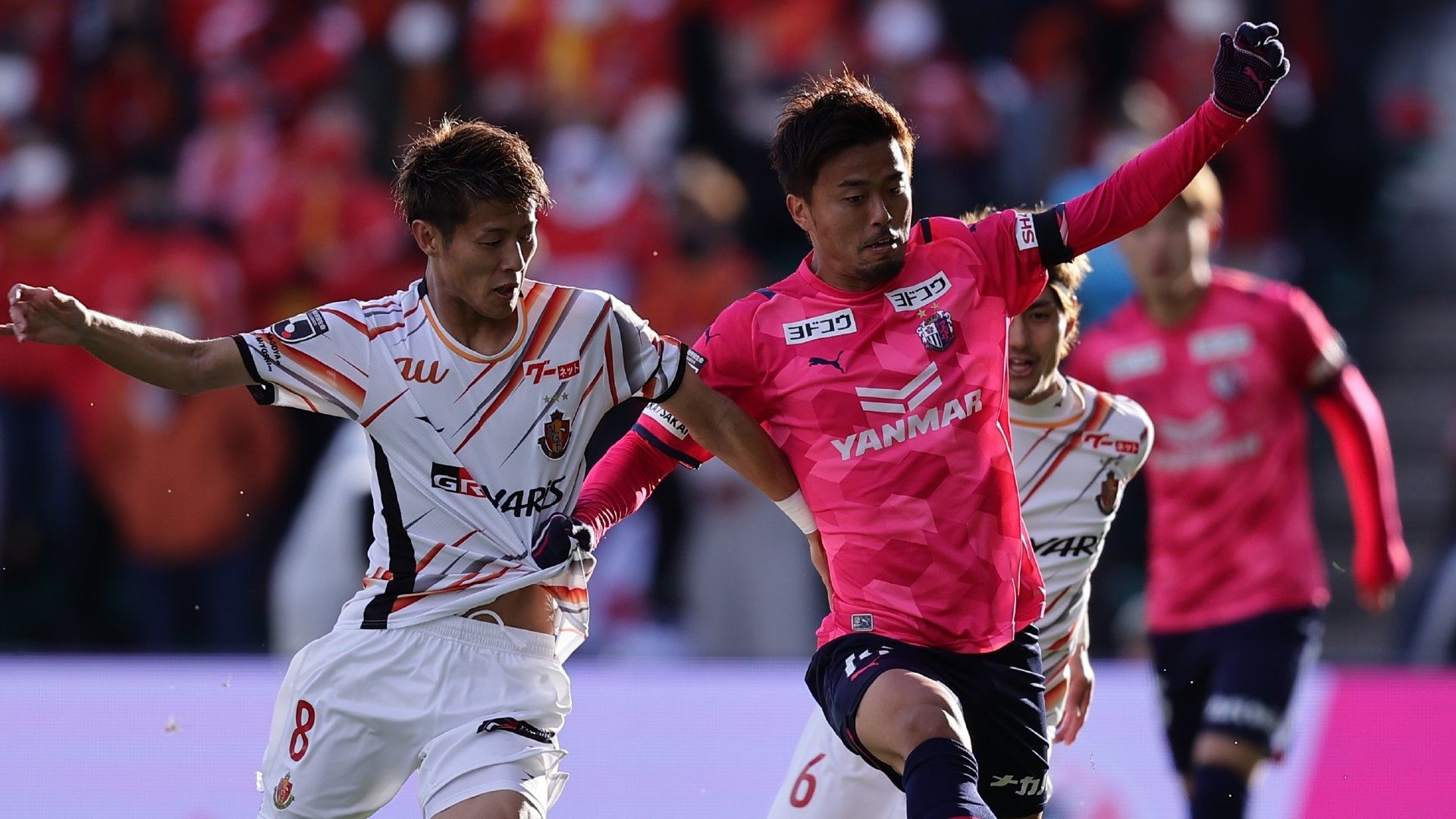 20221118-cerezo-maruhashi2