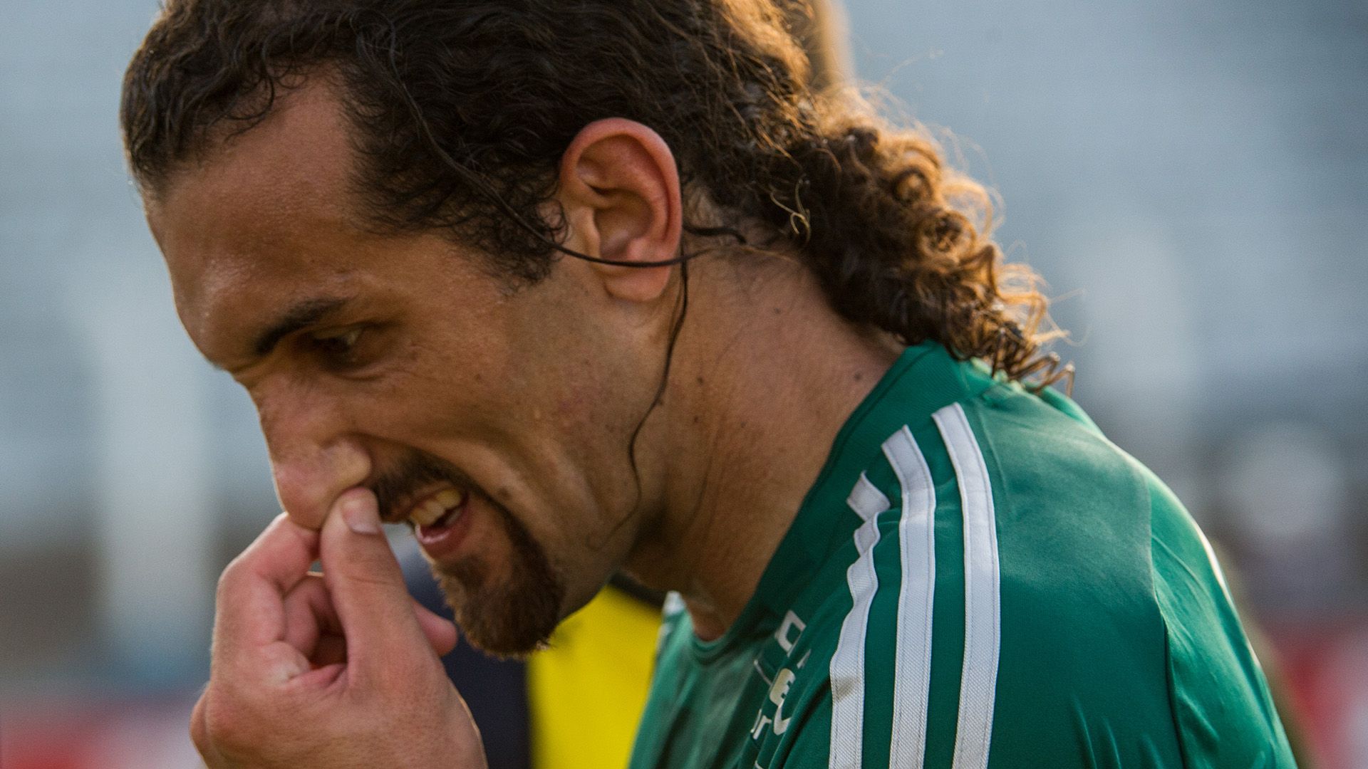 Hernan Barcos Palmeiras 11112012