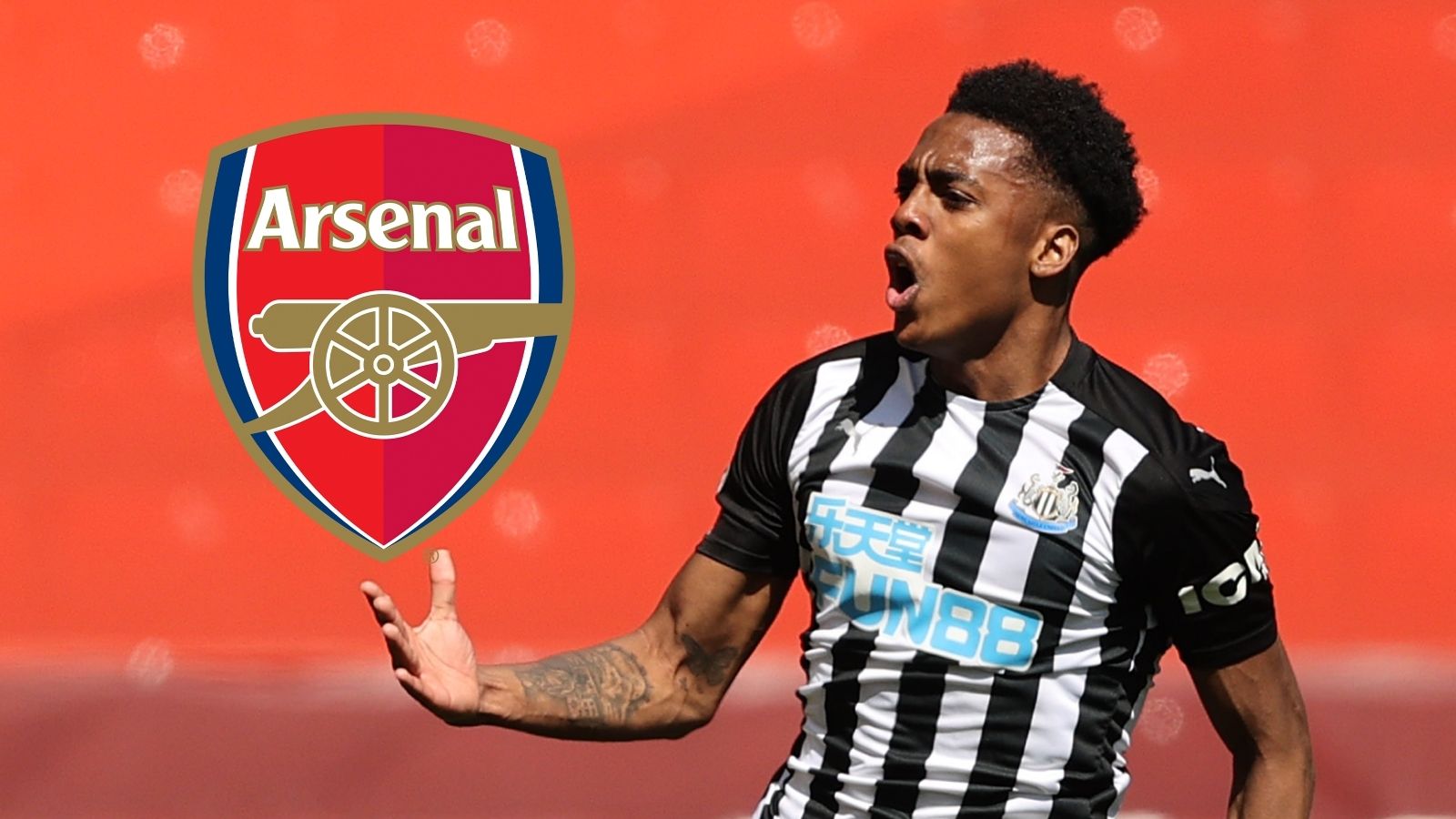 Joe Willock Newcastle Arsenal GFX