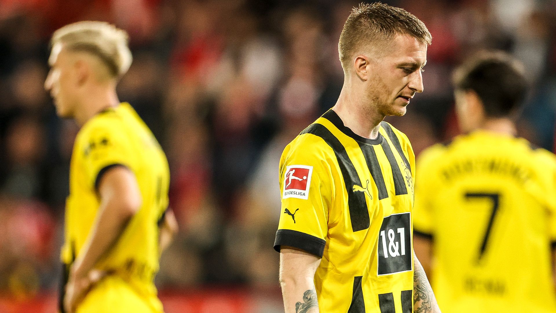 MARCO REUS BORUSSIA DORTMUND