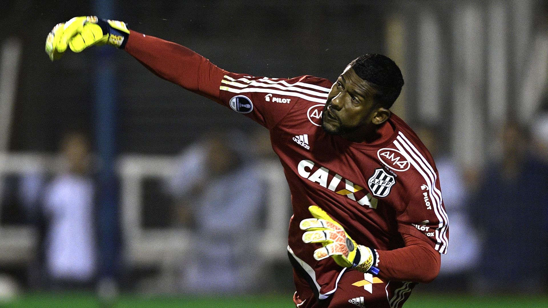 Aranha Ponte Preta Copa Sudamericana 09052017