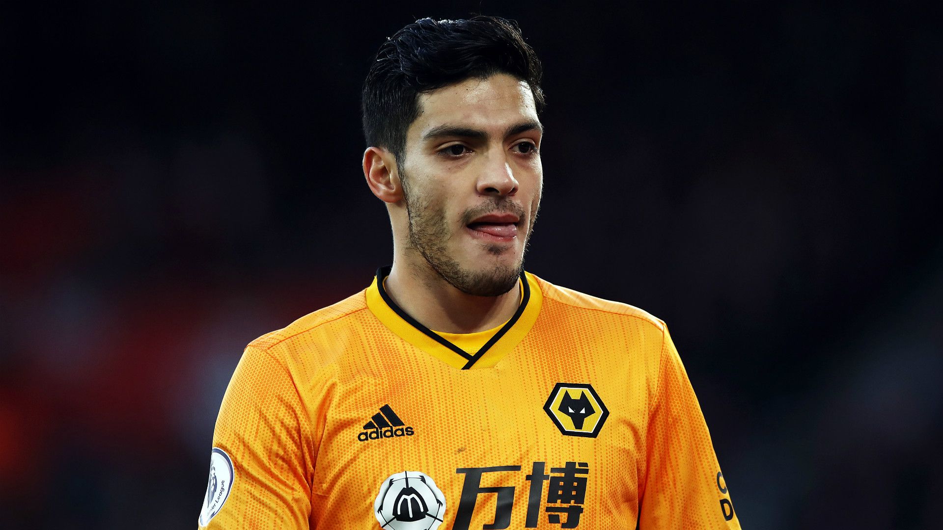 Raul Jimenez Wolves 2019-20