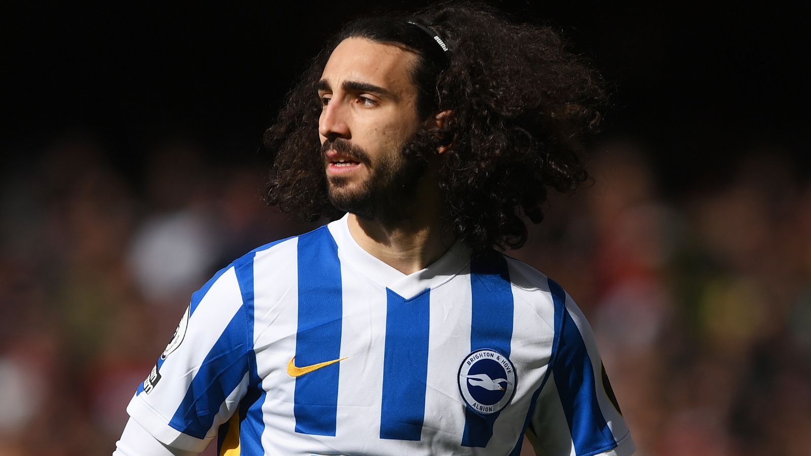 Cucurella Brighton