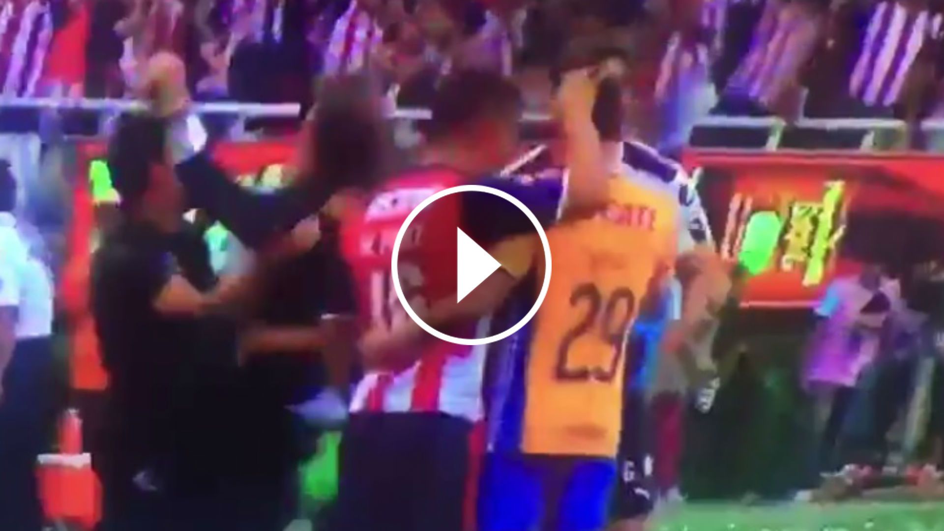 Dueñas y Ponce pelea