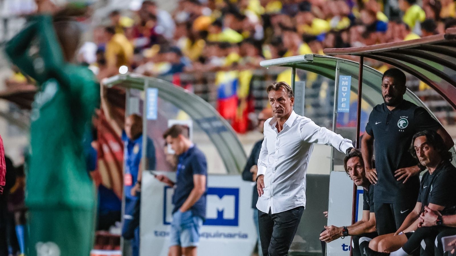 Herve Renard Saudi Arabia Ecuador 23.09.2022