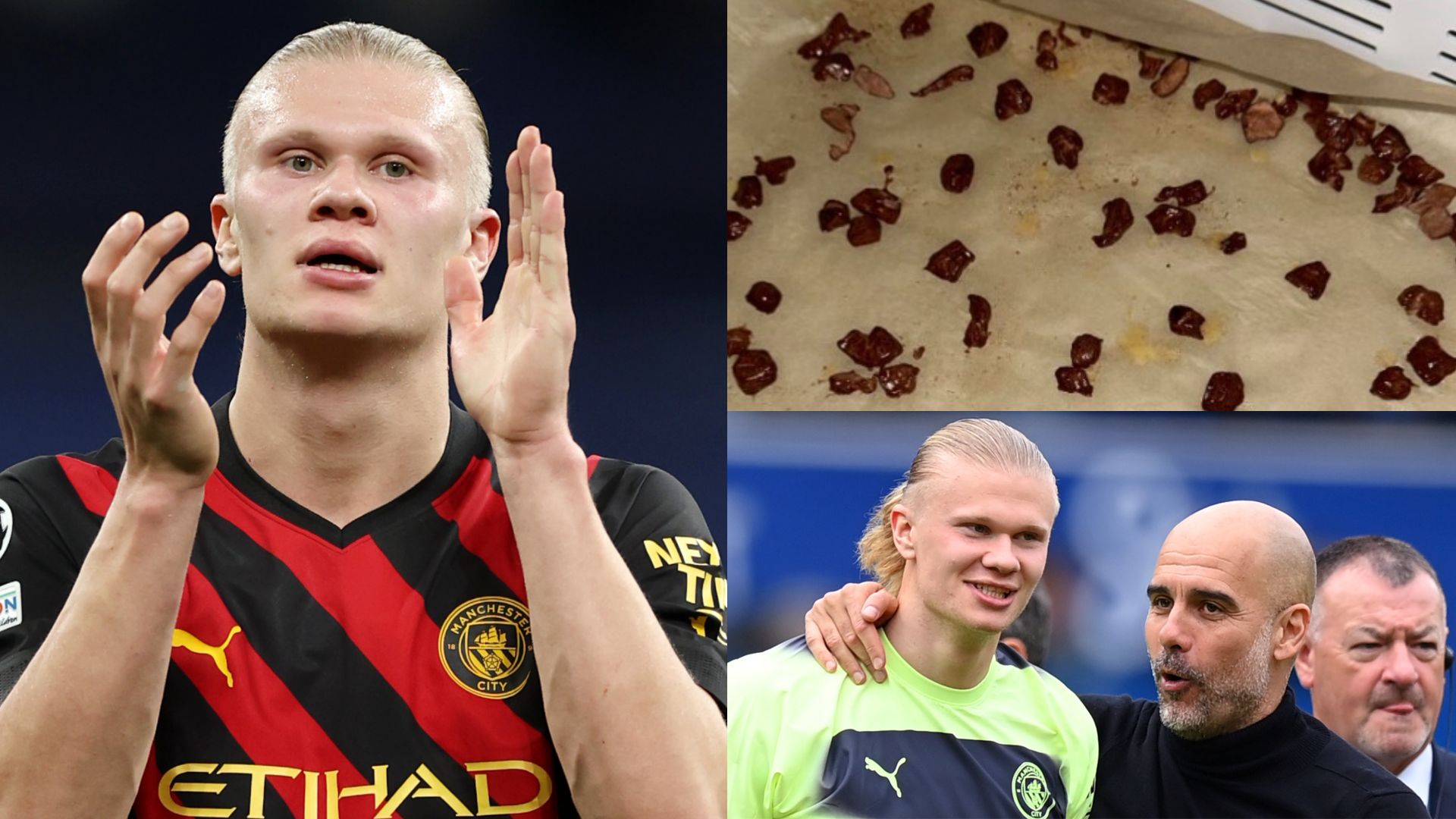 Erling Haaland liver