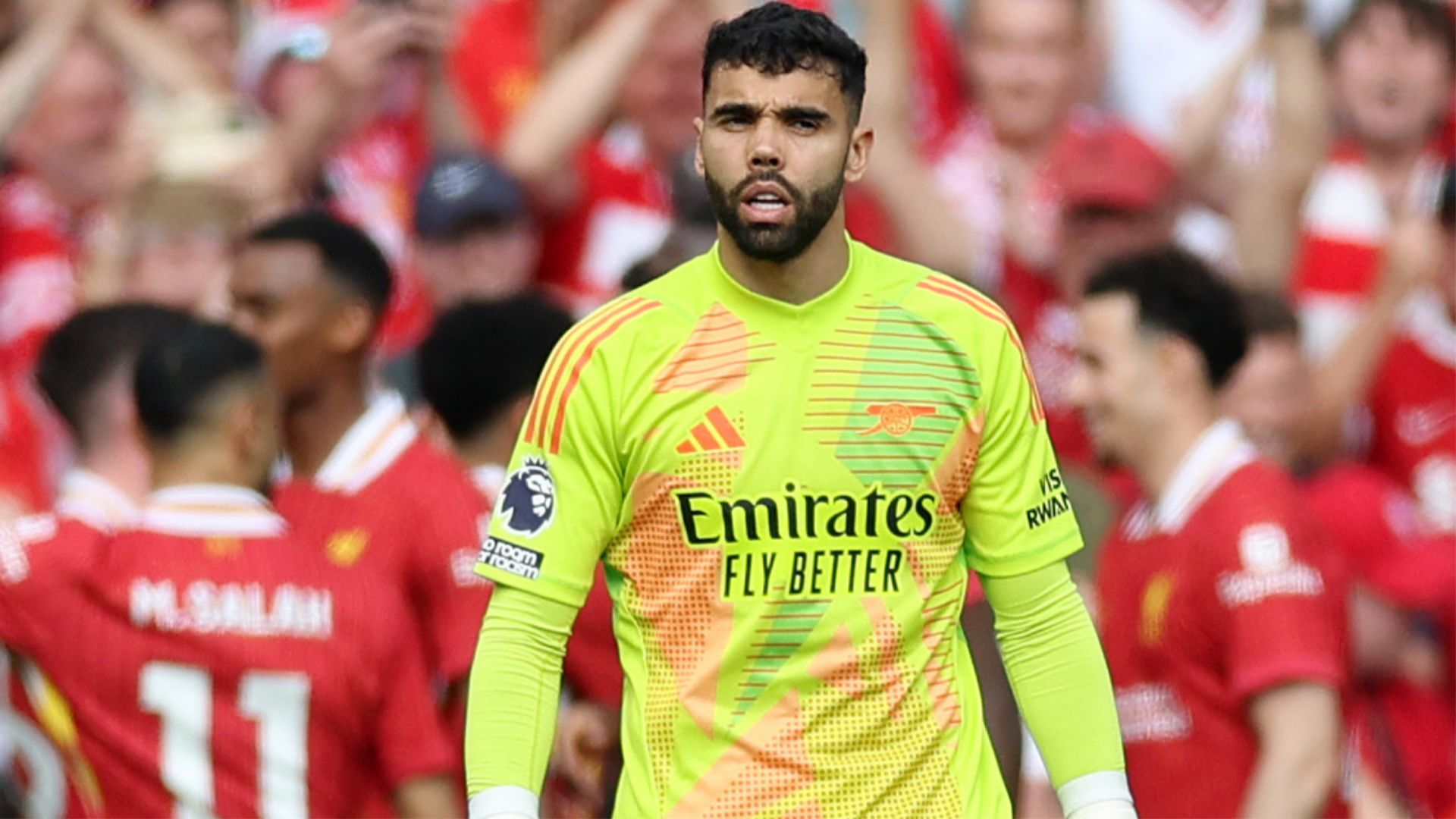 David Raya Arsenal 2024-25