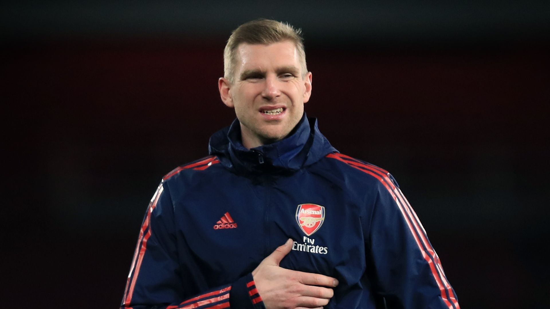 Per Mertesacker