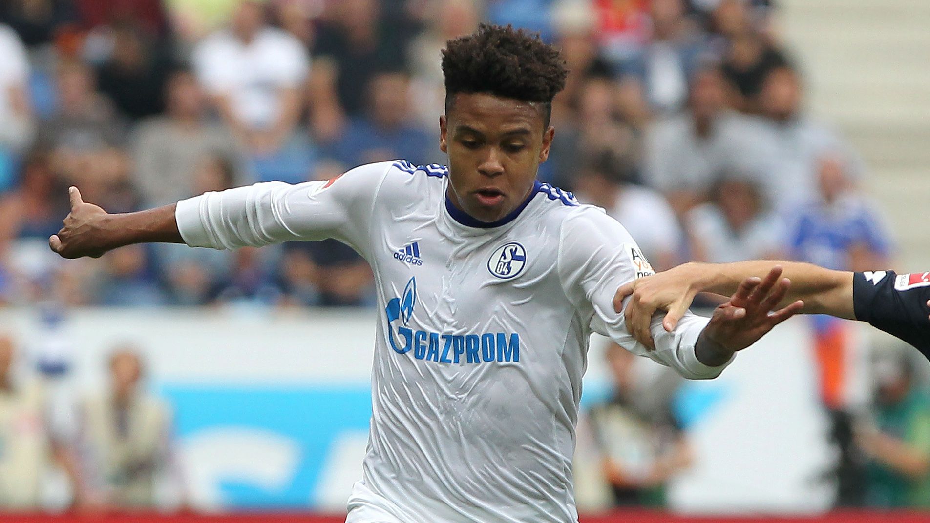 Weston McKennie Schalke