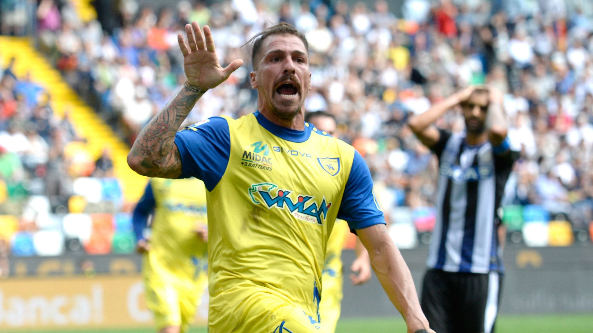 Fabrizio Cacciatore Chievo Verona 17112016