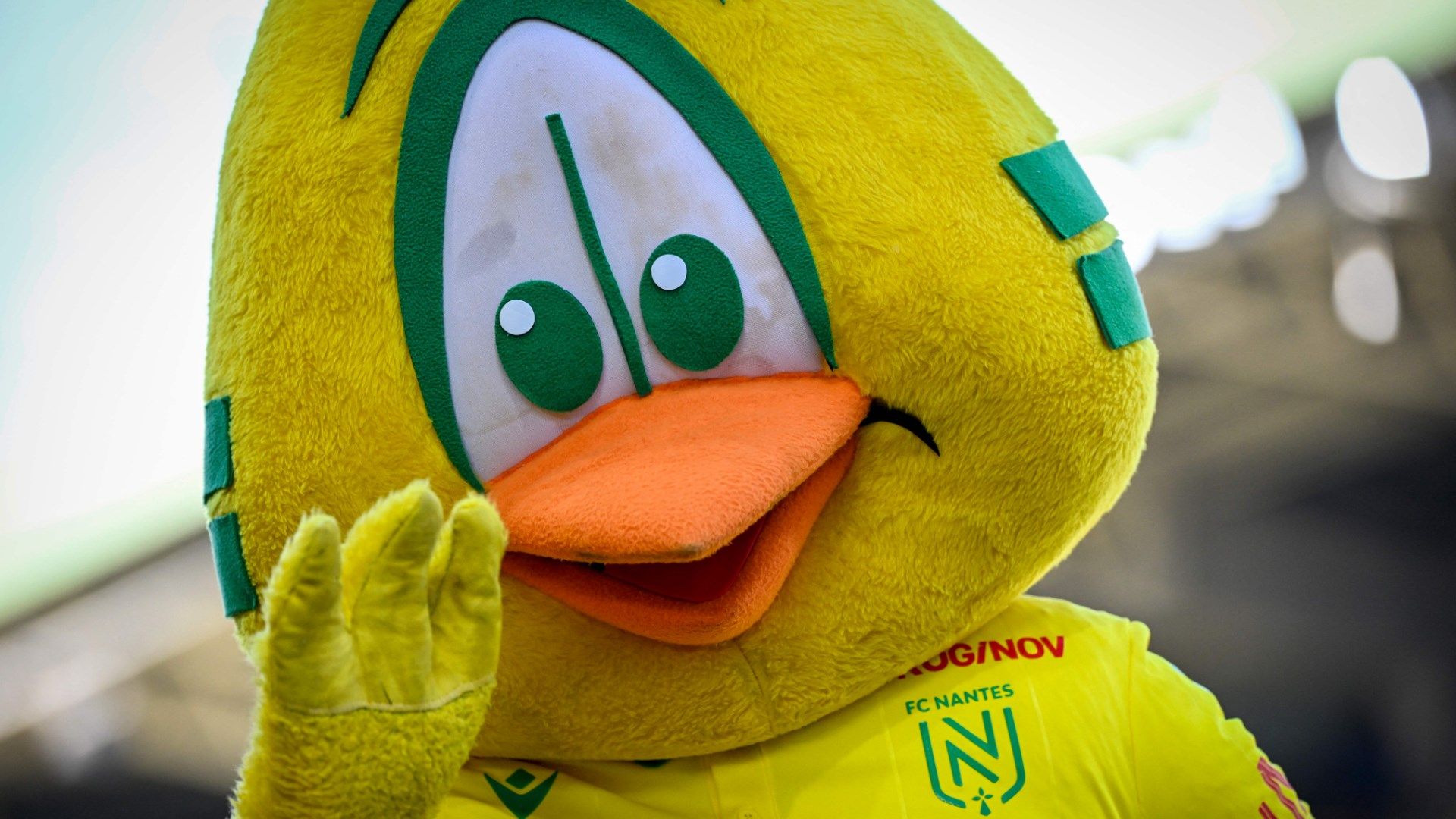 Nantes mascot
