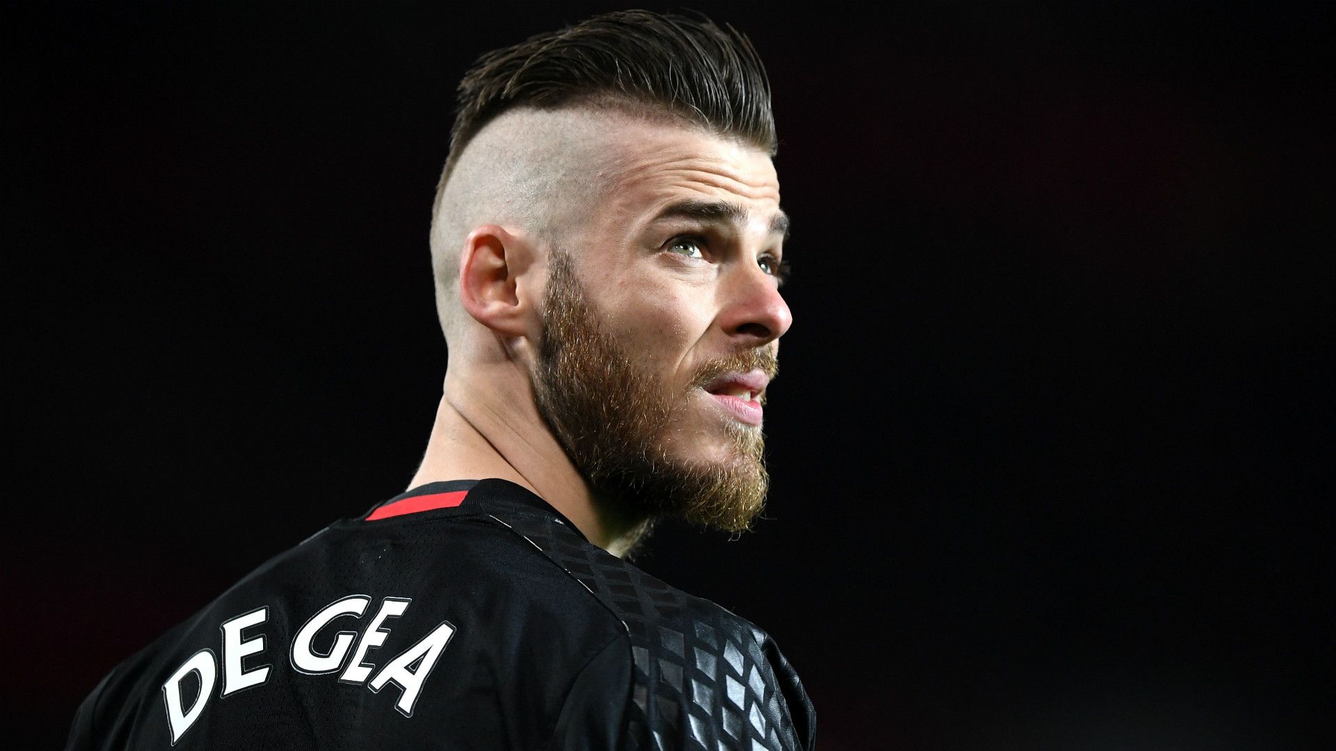 david de gea - cropped