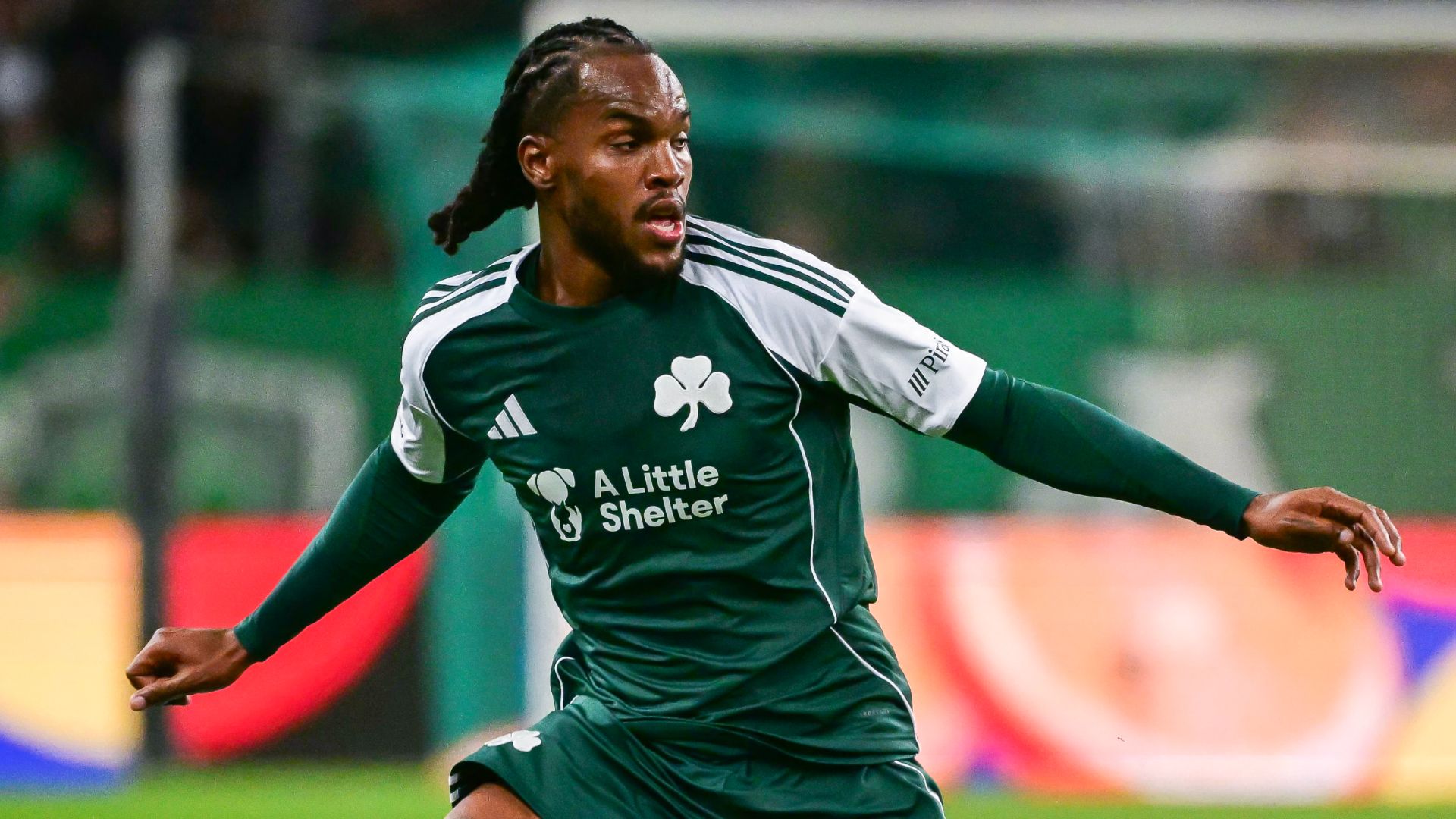 renatosanches