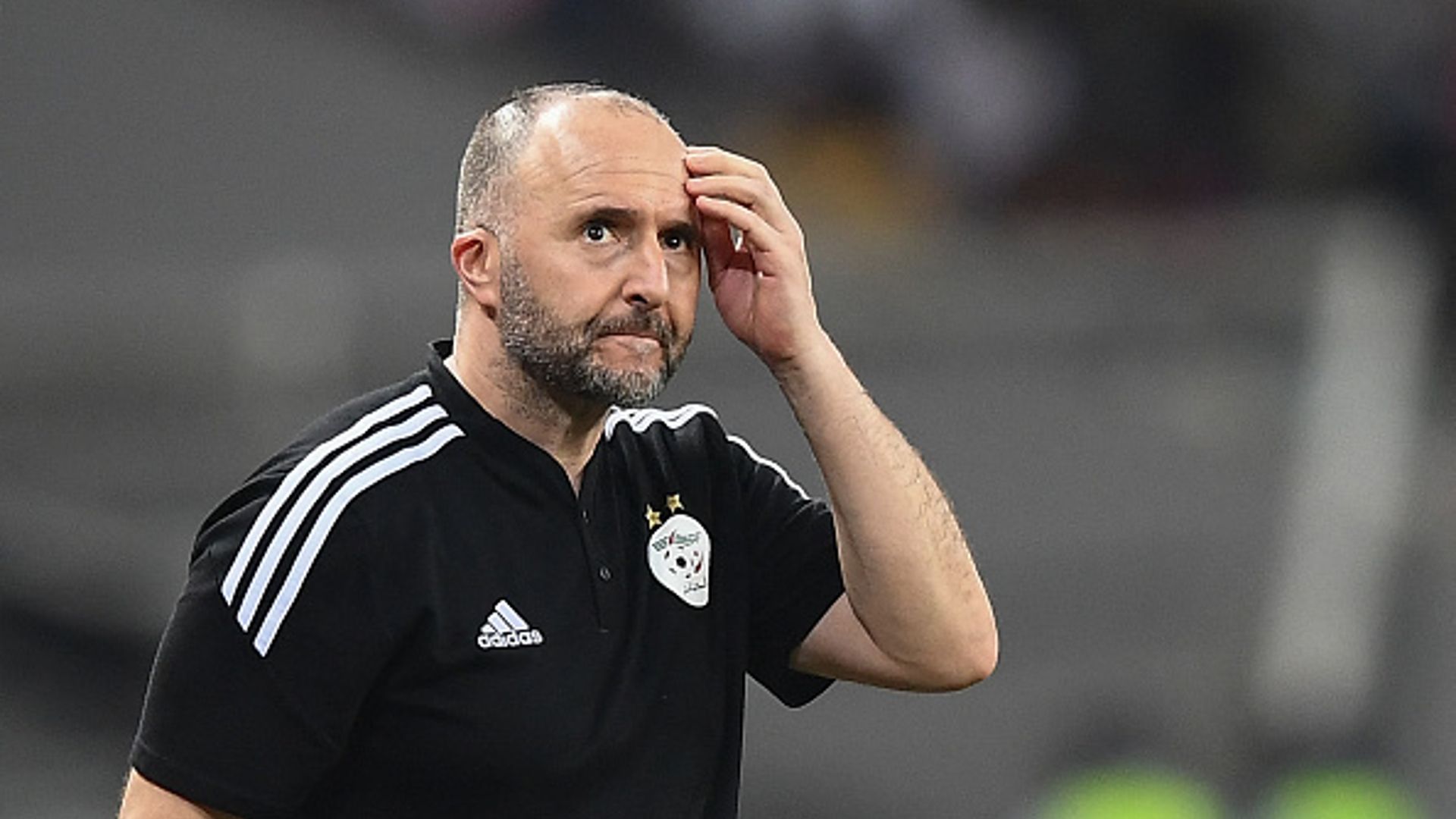 Djamel Belmadi - algeria - afcon 2021
