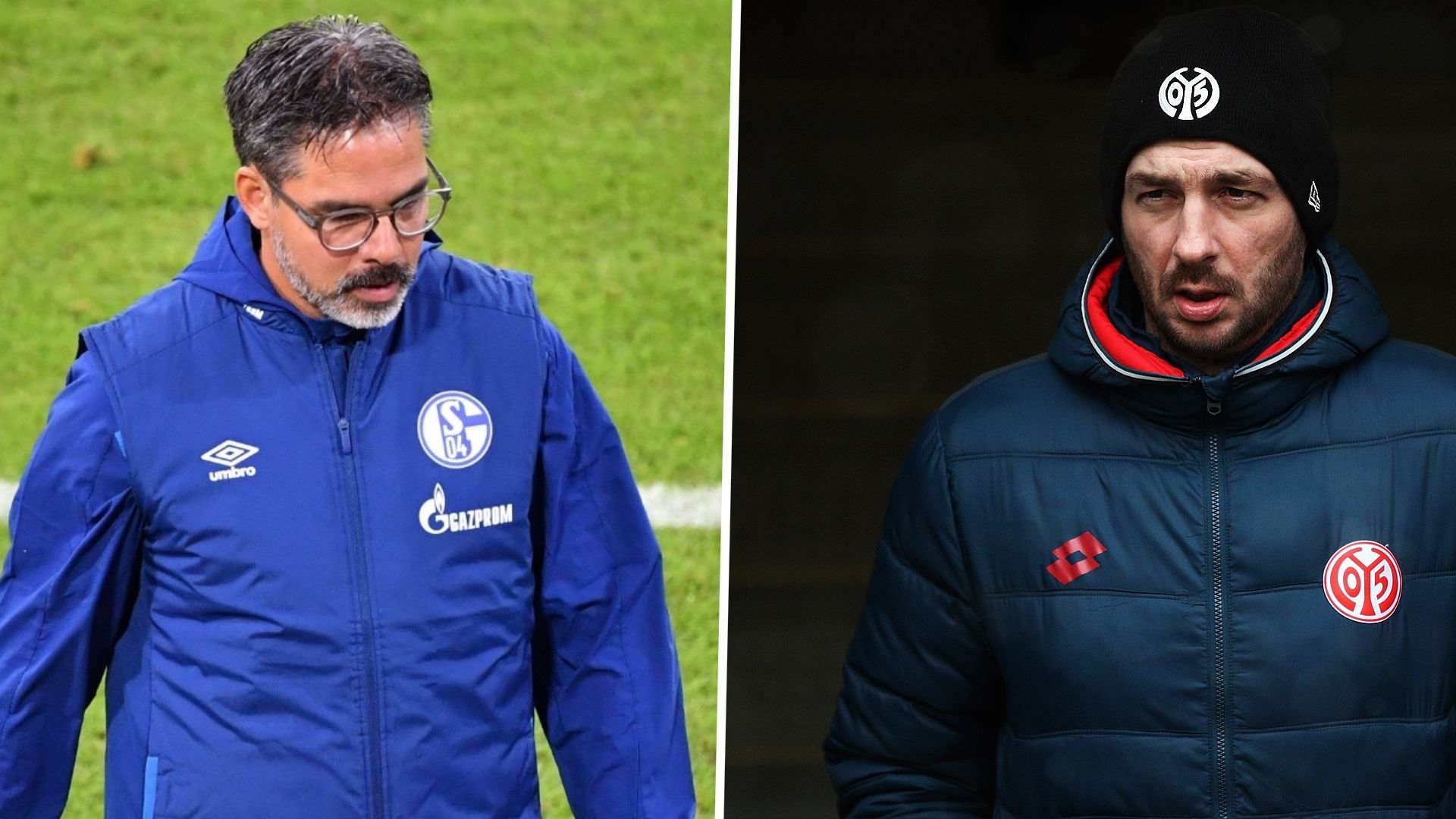 David Wagner Sandro Schwarz Schalke 04