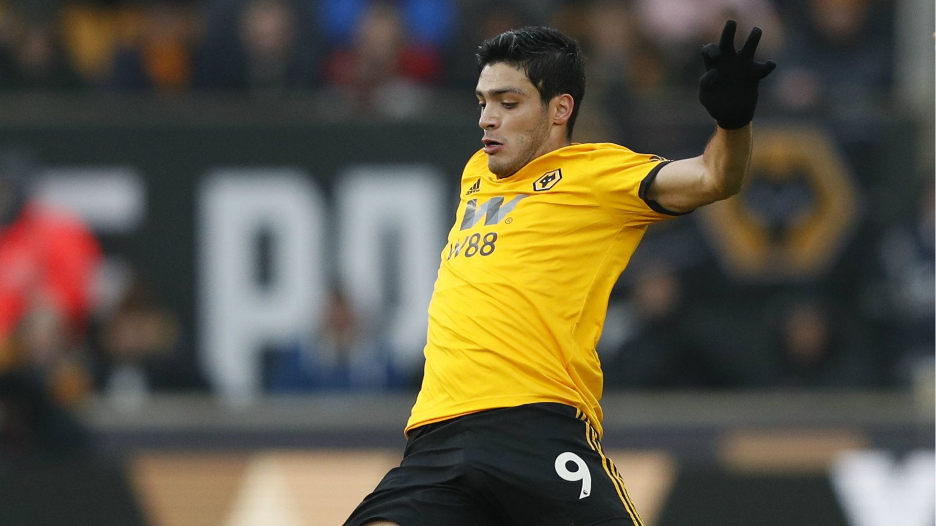 Raúl Jiménez Wolves 130219