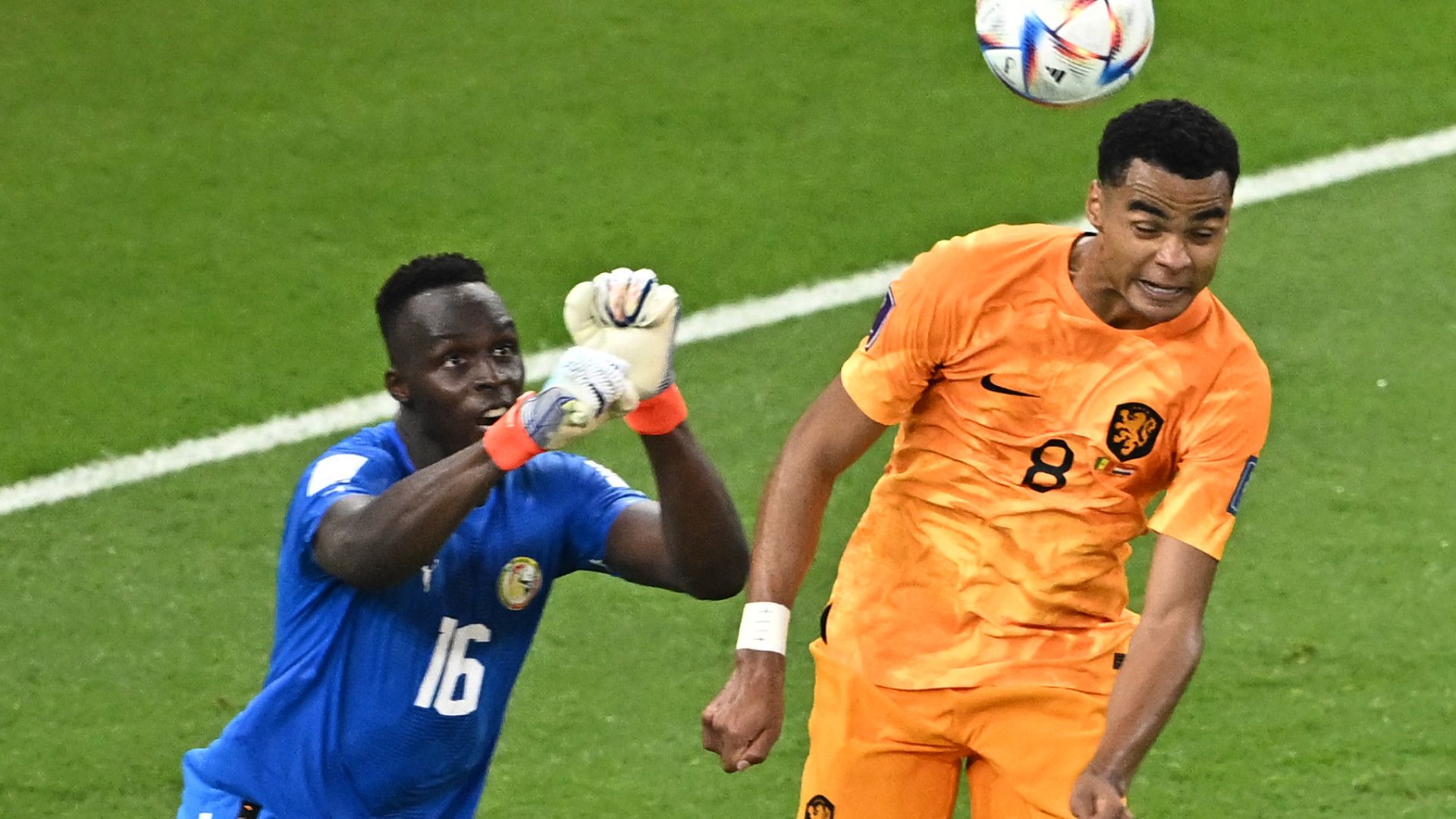 EDOUARD MENDY SENEGAL CODY GAKPO NETHERLANDS WORLD CUP 21112022