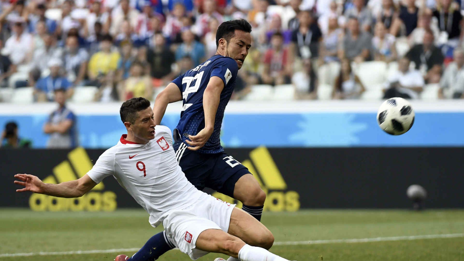 2018-06-29-maya-lewandowski.