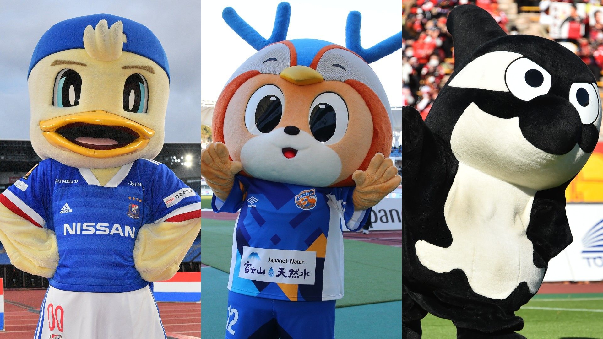 mascot top 3