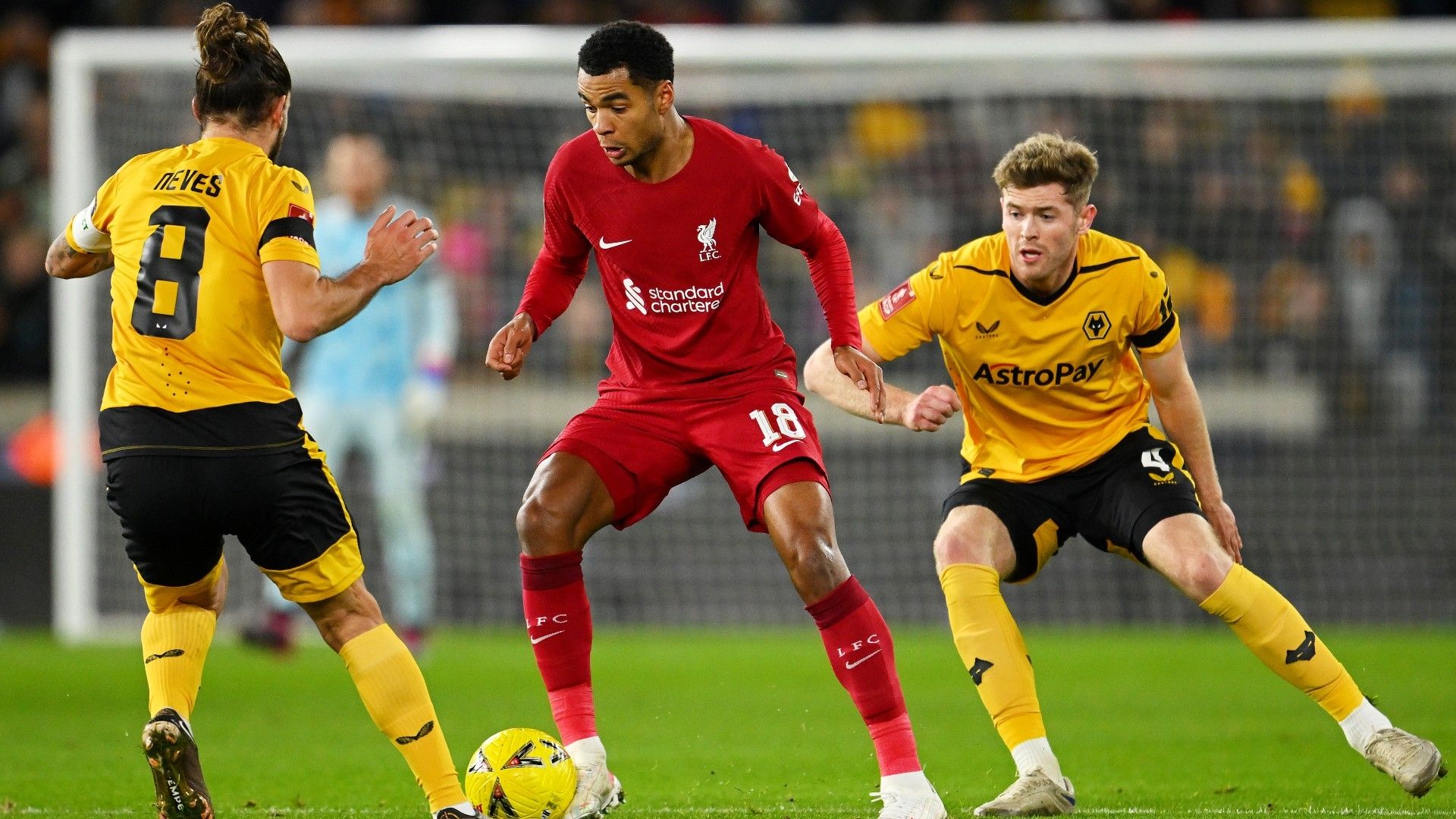 Cody Gakpo Liverpool 2022-23