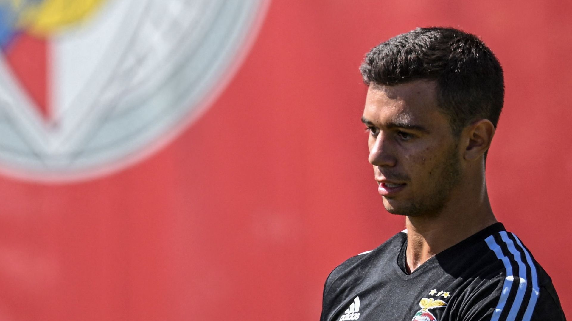 Henrique Araujo Benfica