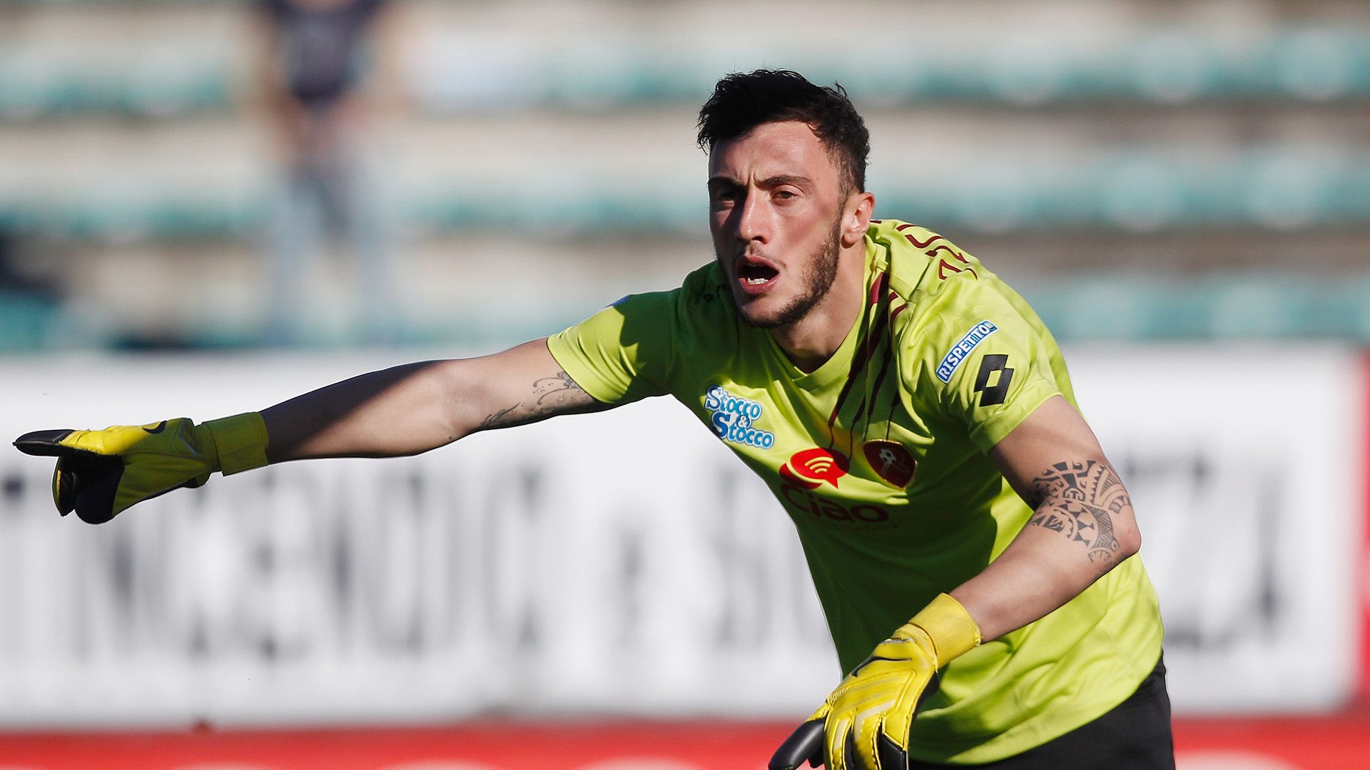 Mirko Pigliacelli