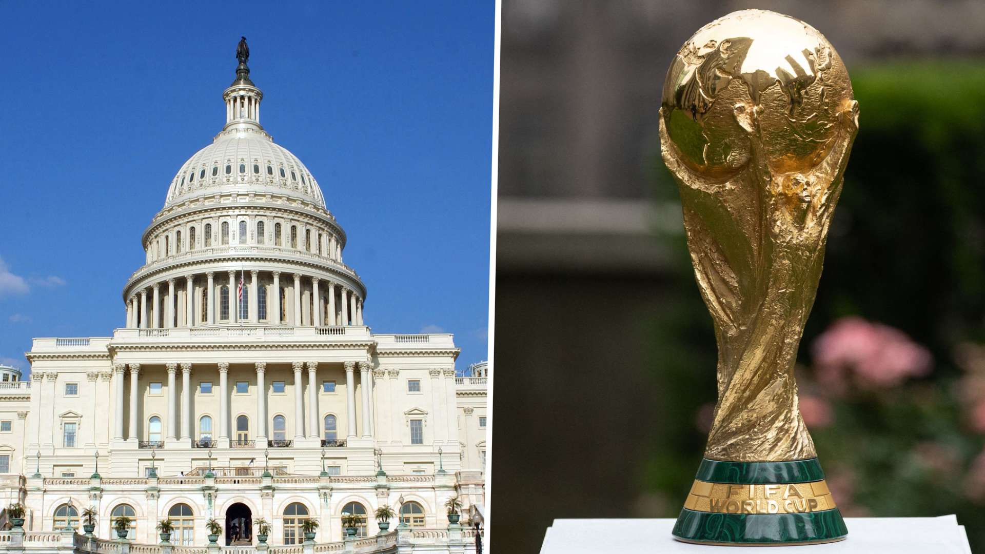 Washington D.C. World Cup GFX