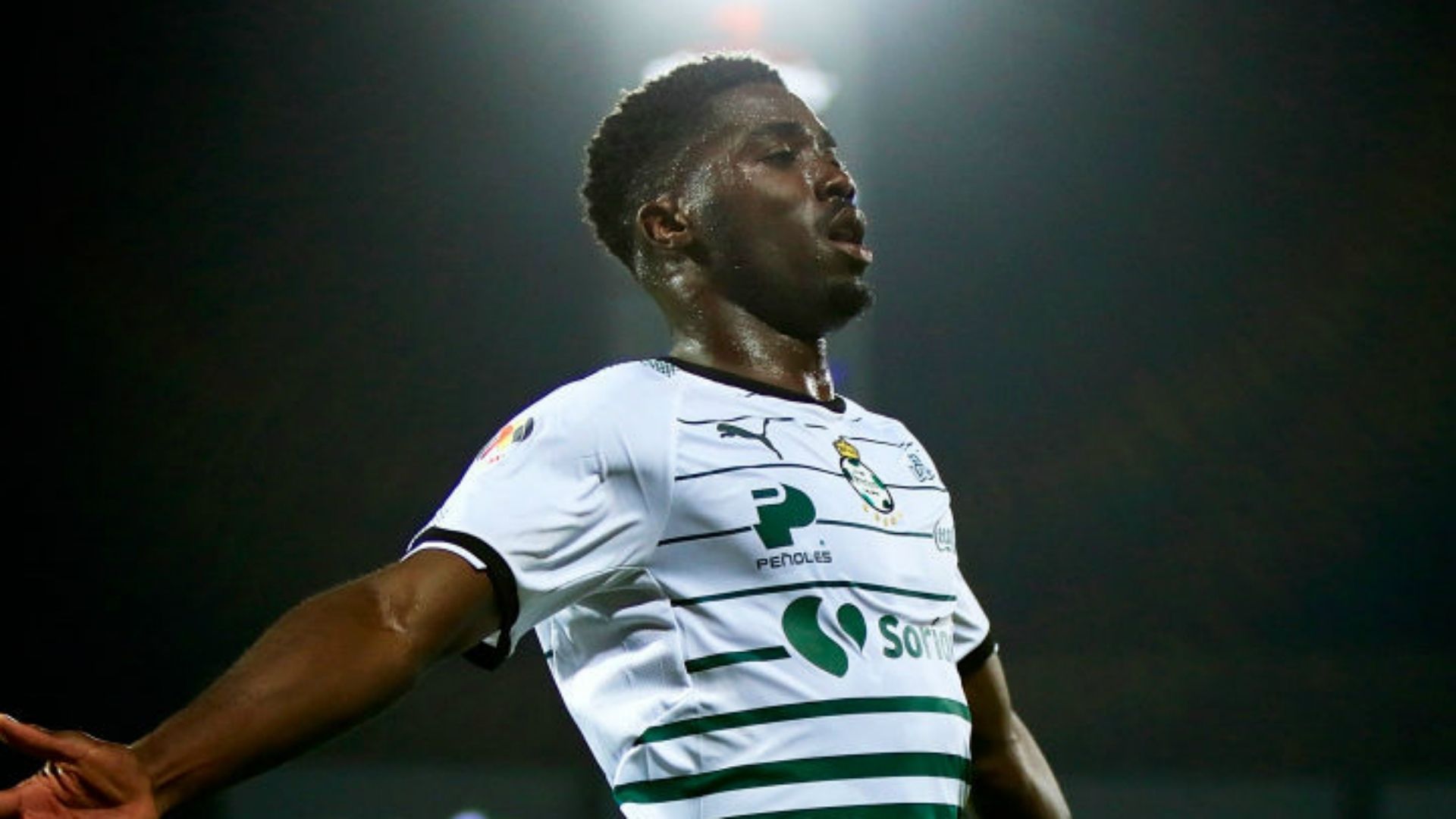 Djaniny Tavares
