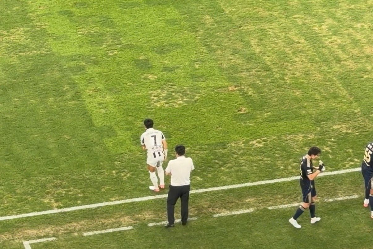 문수경기장 잔디