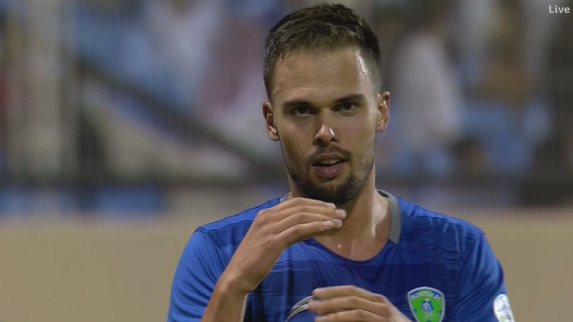 ميتشيل تي فريدي