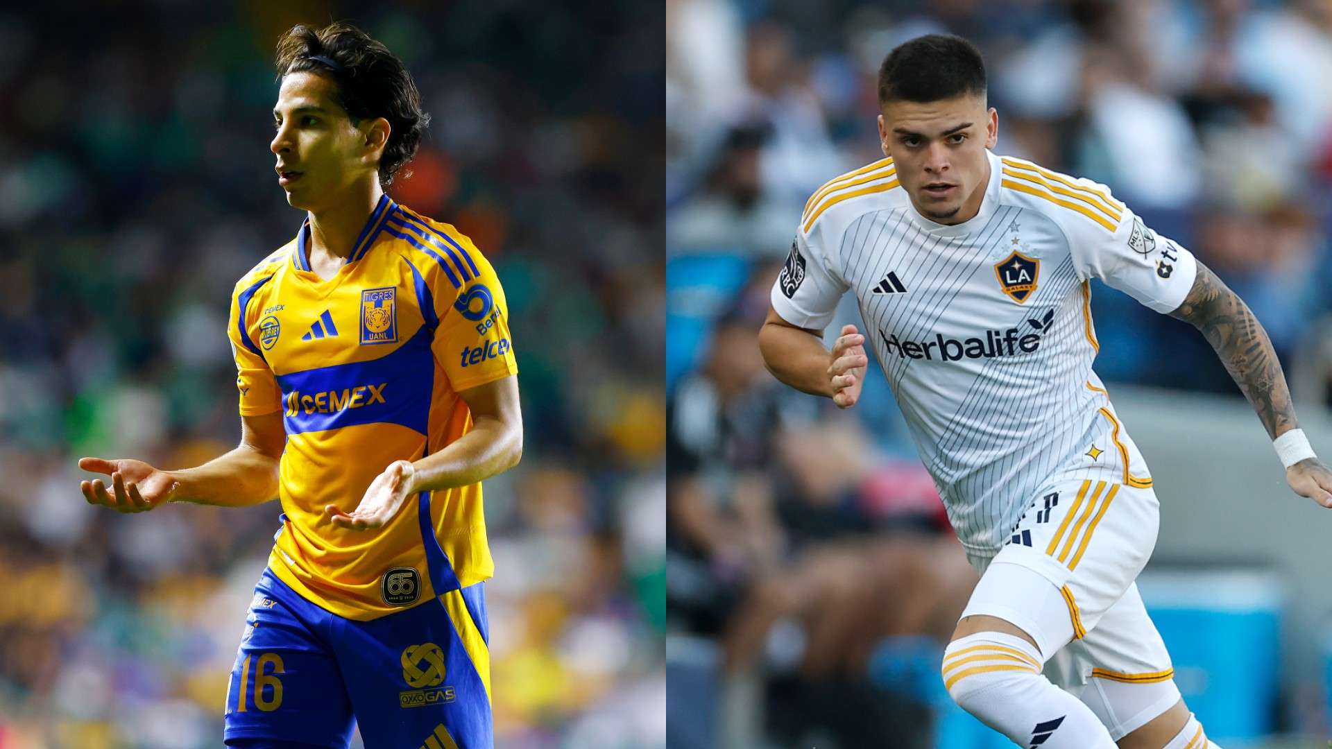 Tigres LA Galaxy Dónde ver Concacaf Champions Cup 2025