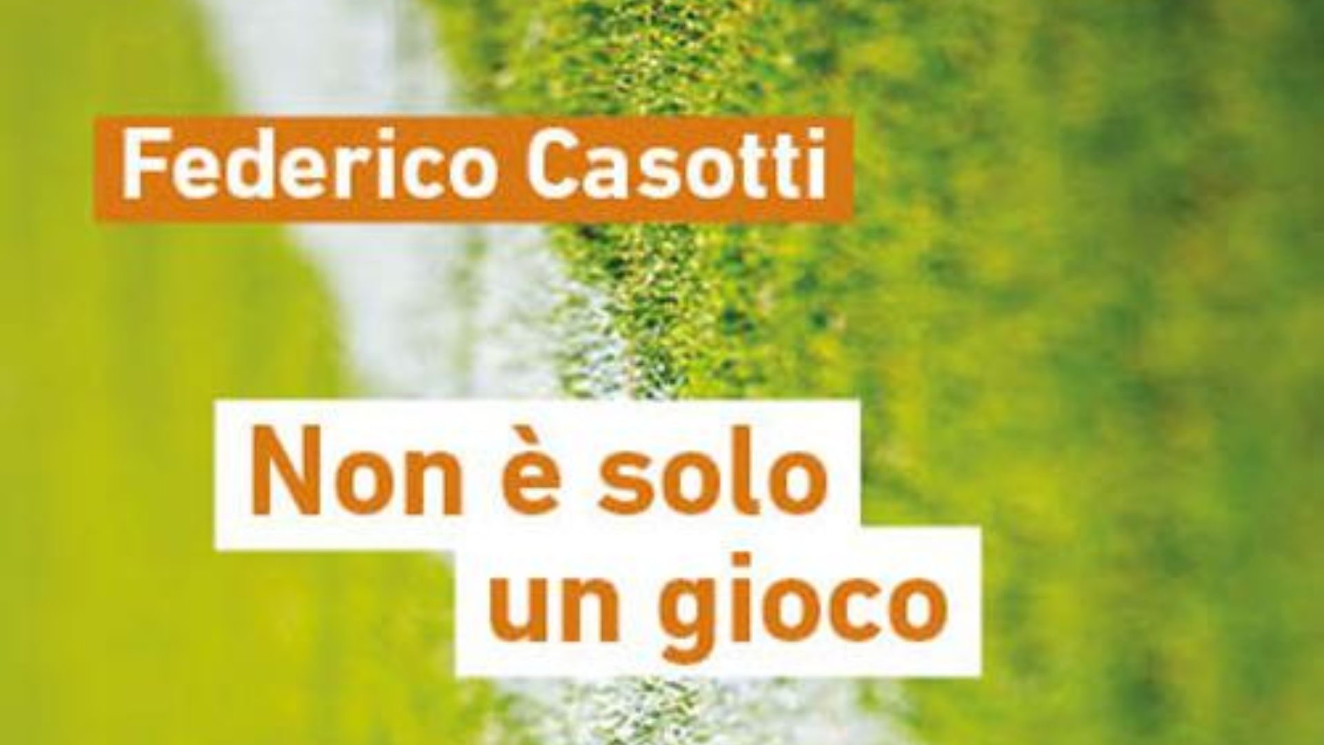 Libro Casotti