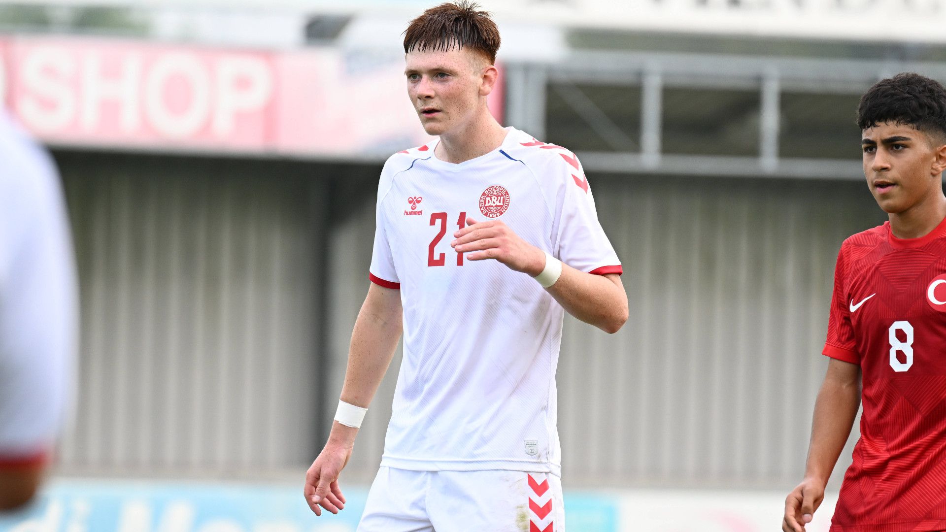 GERMANY ONLY: TRISTAN PANDURO