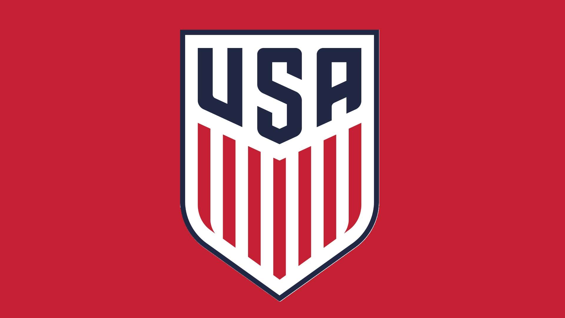 USMNT Logo Panel