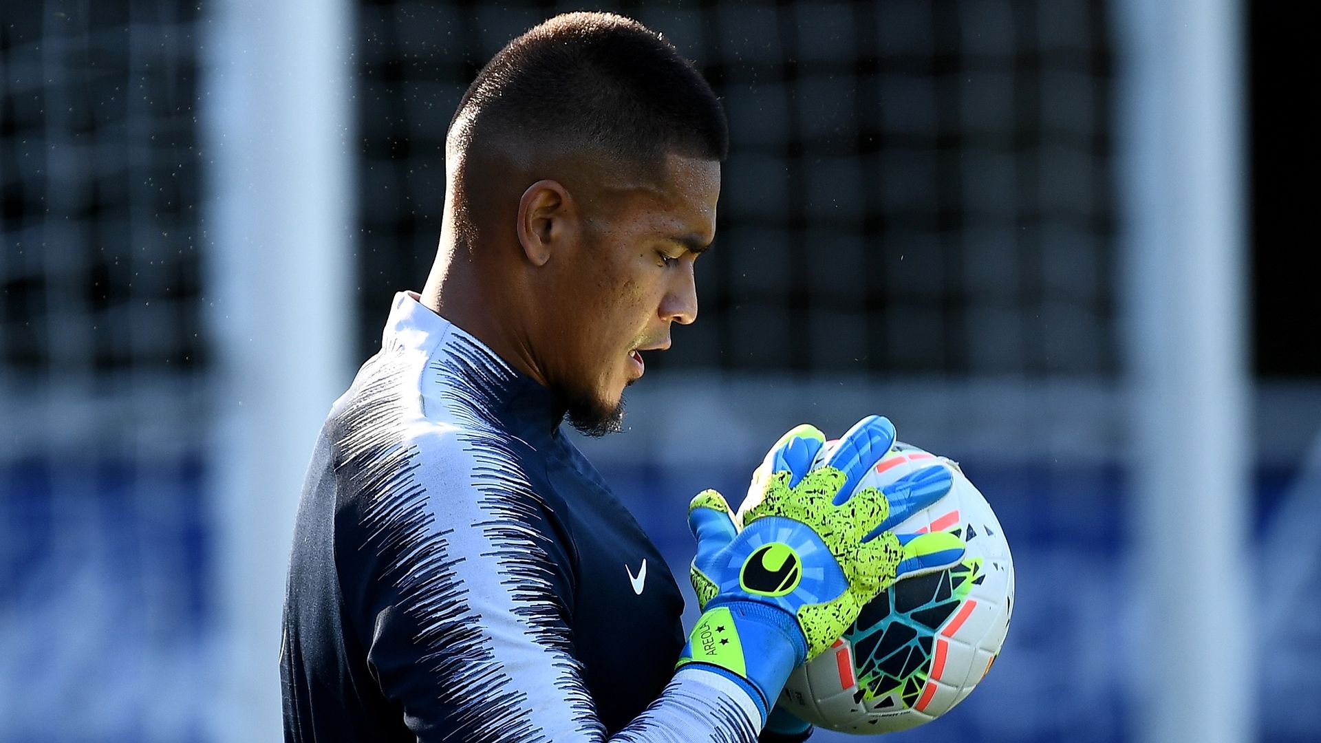 Alphonse Areola France 2019
