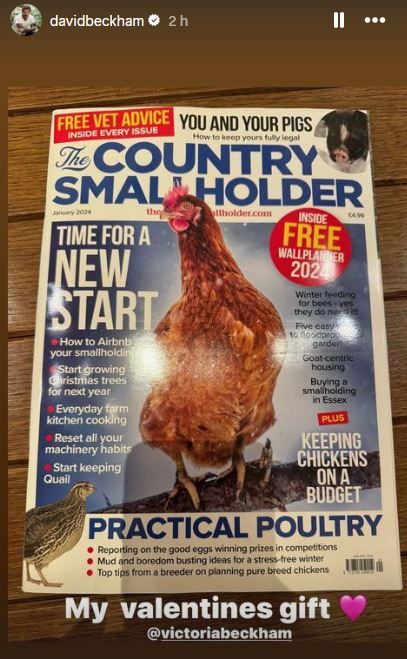 David Beckham Valentine's