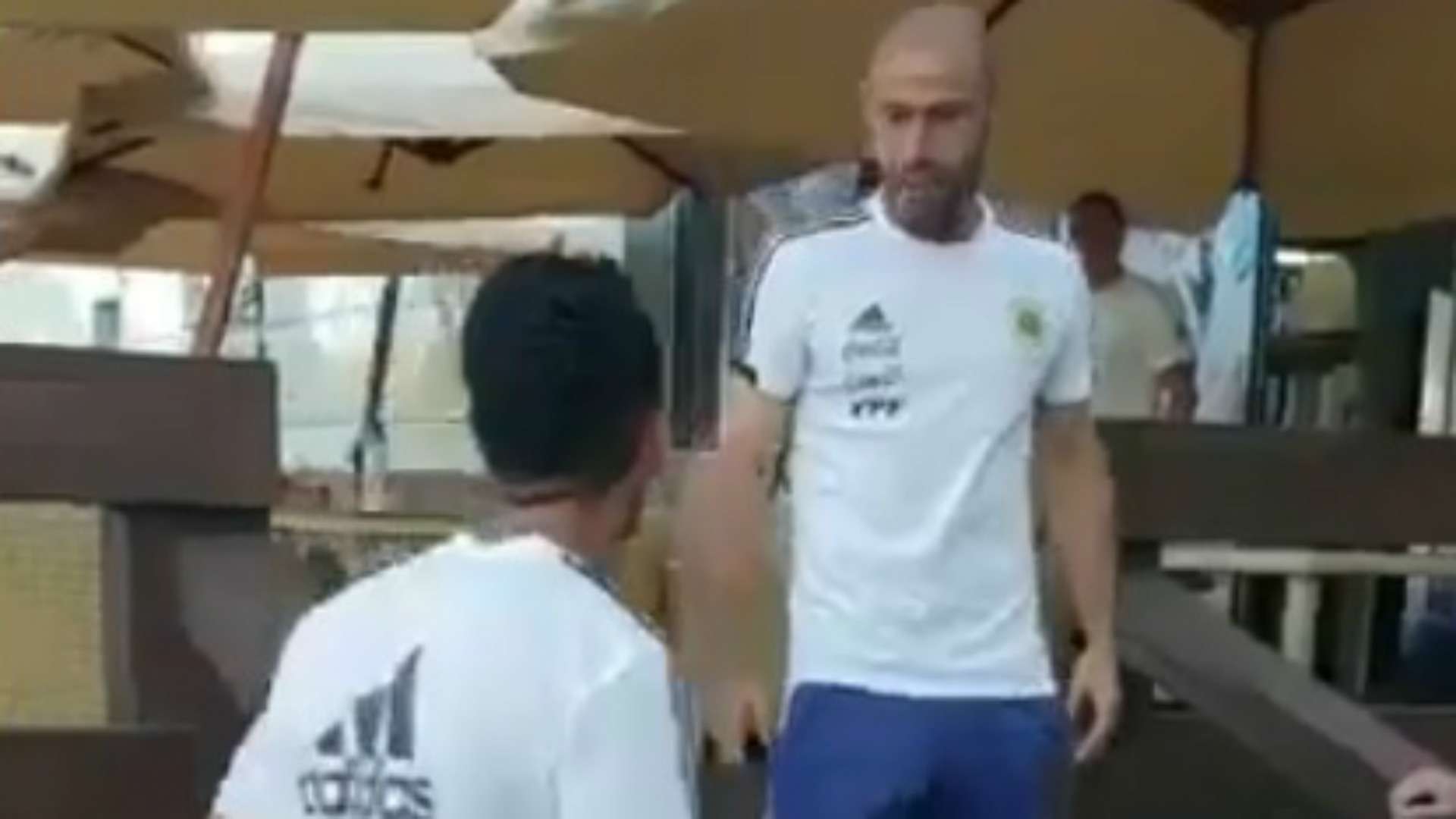 captura masche pavon