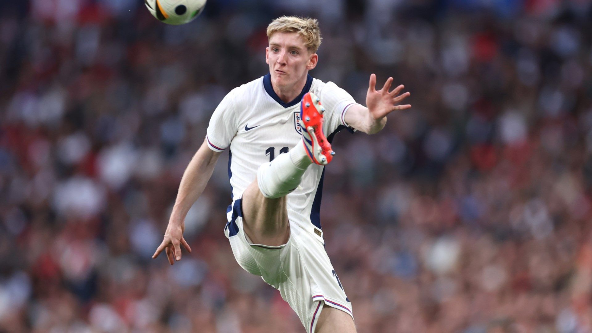 Anthony Gordon England 2024