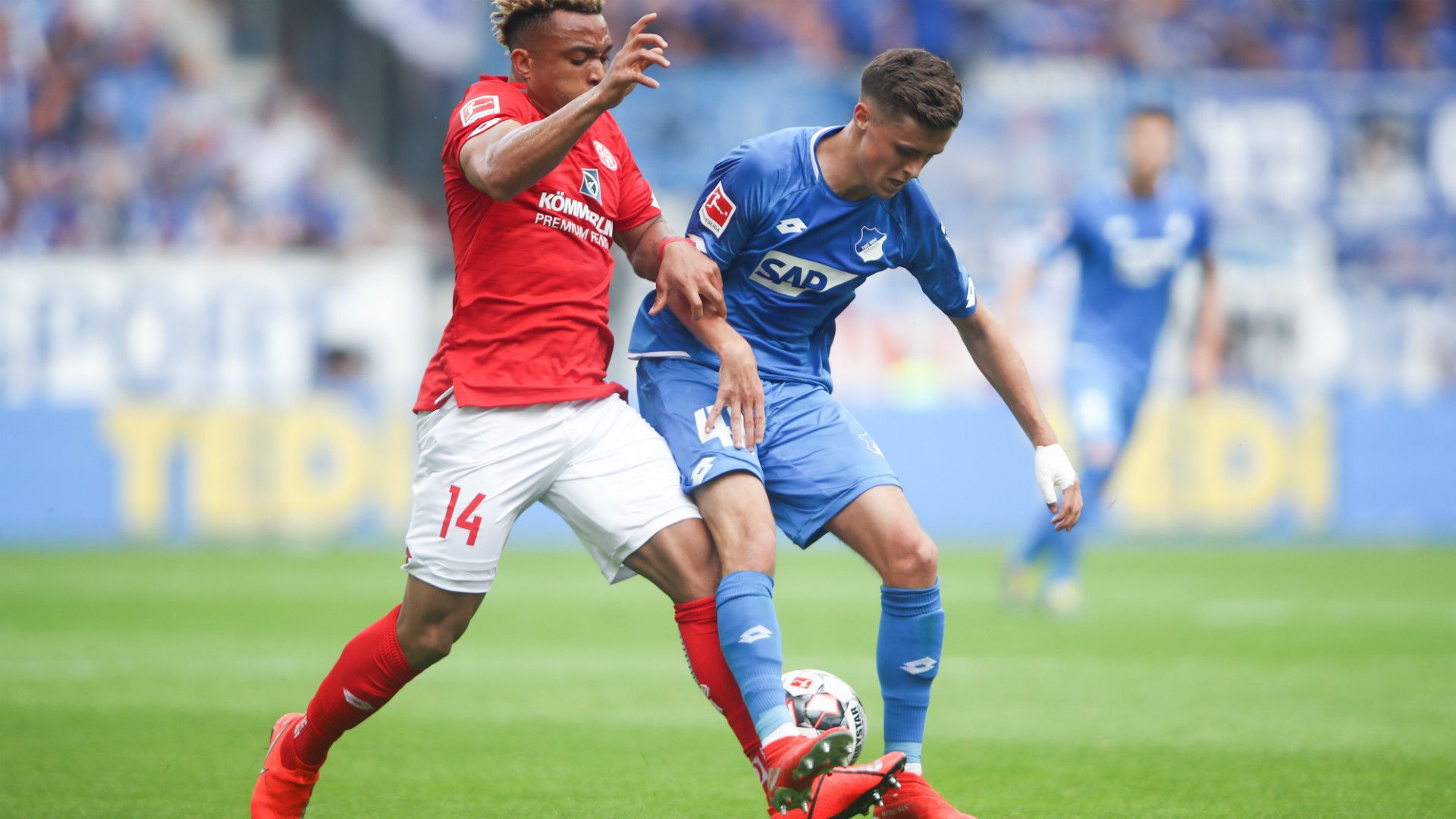 PIERRE MALONG MAINZ CHRISTOPHER BAUMGARTNER HOFFENHEIM GERMAN BUNDESLIGA 18052019