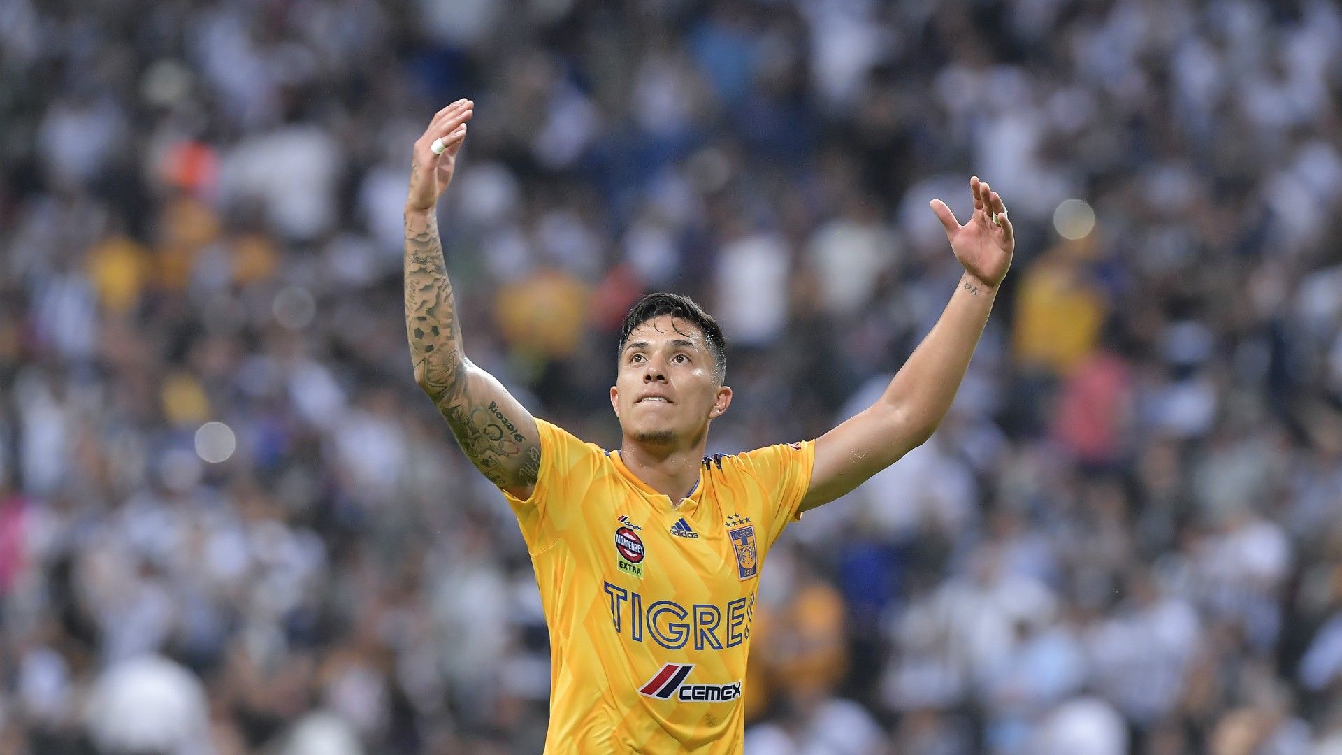 Carlos Salcedo Tigres