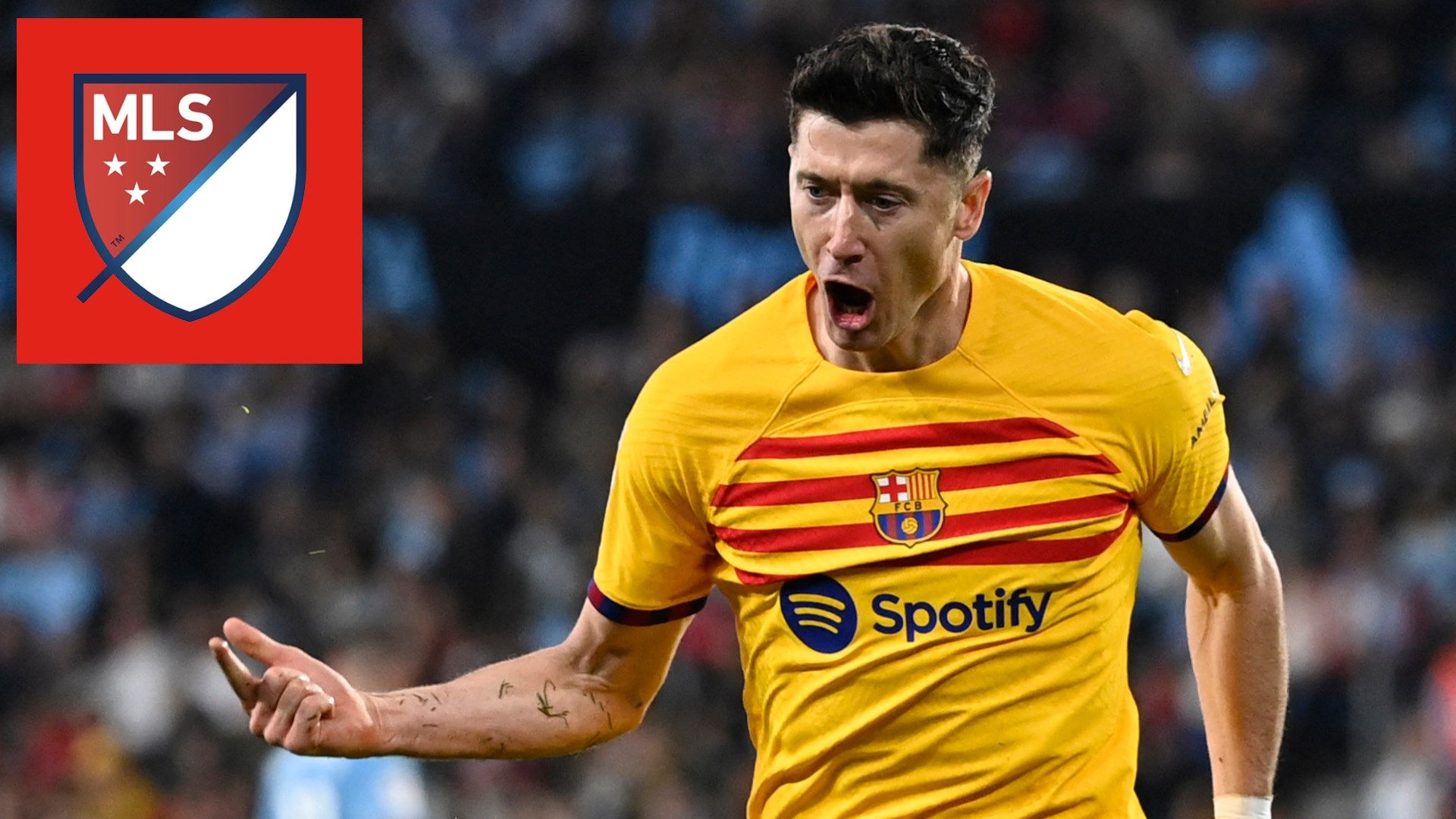 lewandowski MLS split